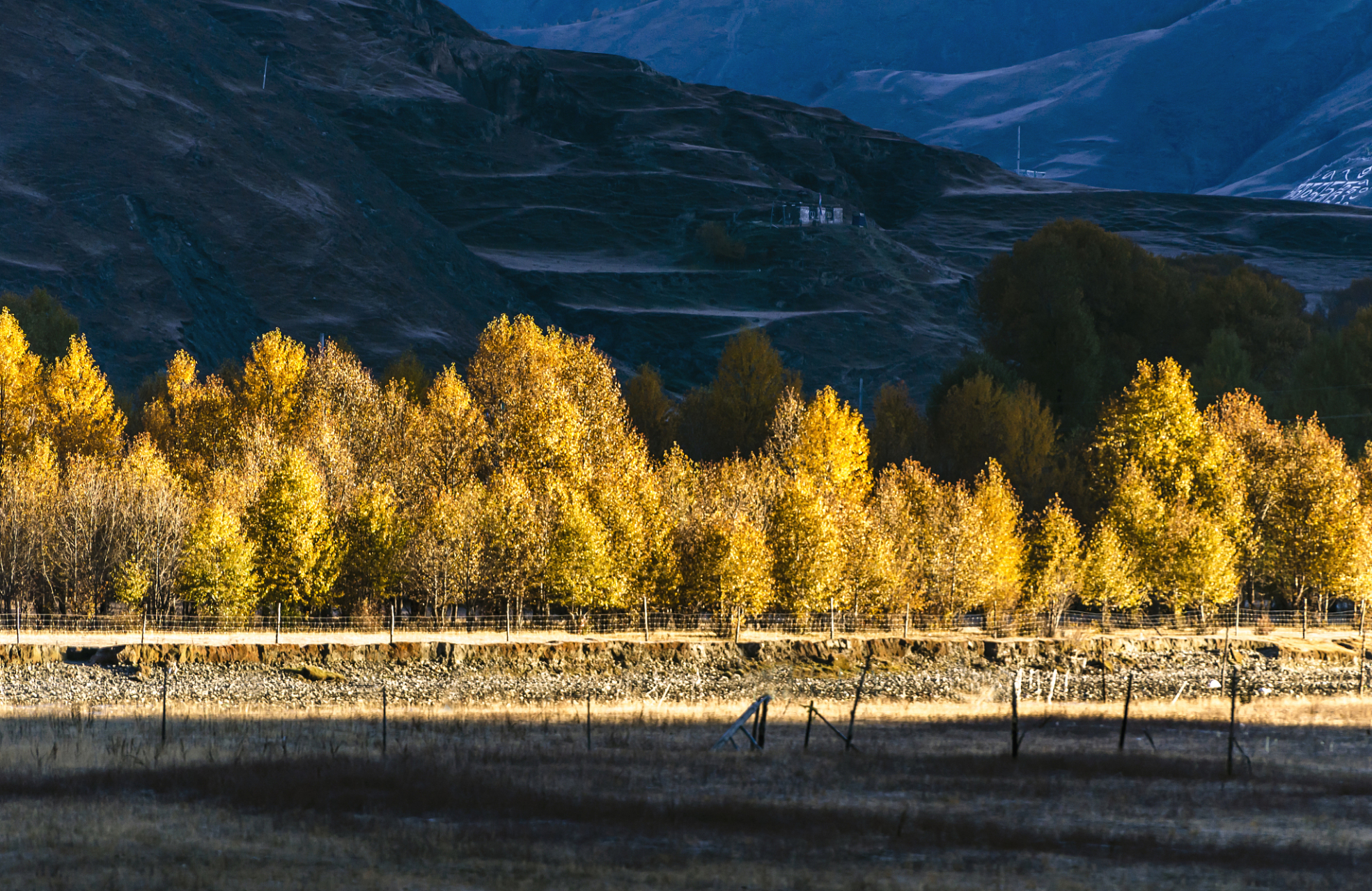秋季的甘孜阿坝,是一处景色壮美的旅游胜地.
