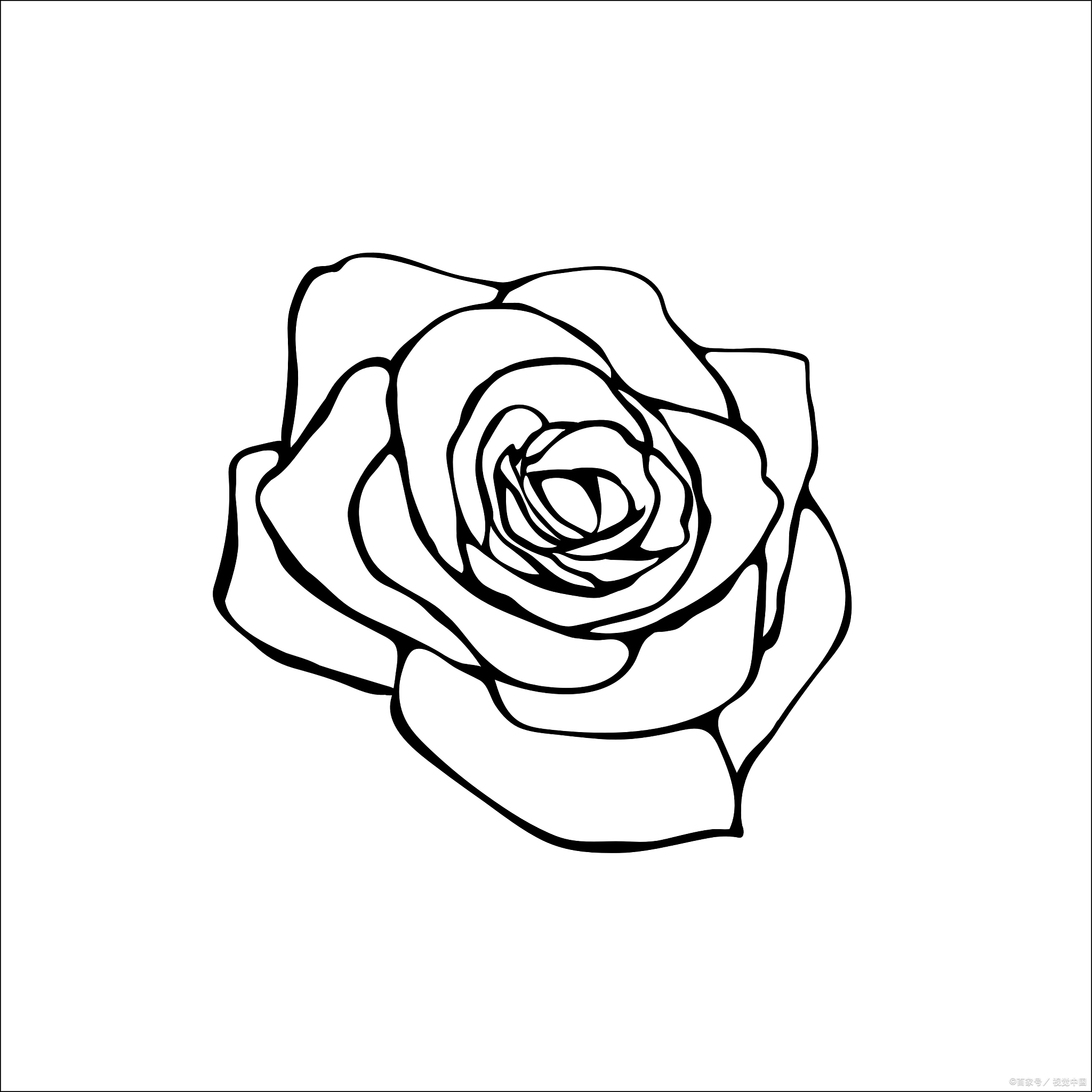 玫瑰花简笔画步骤教程