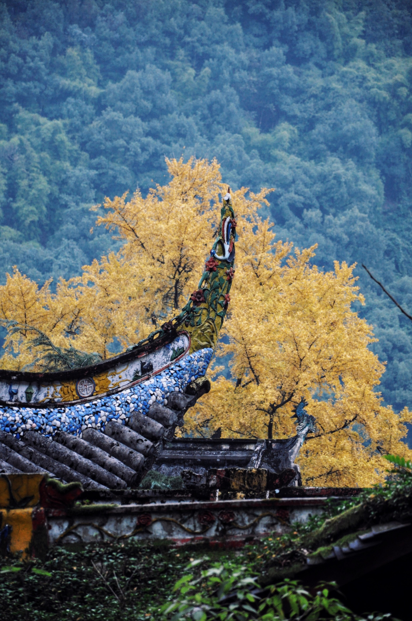 重庆秋天的古建筑巡礼  重庆,一个充满山水之美的城市,也是一个拥有