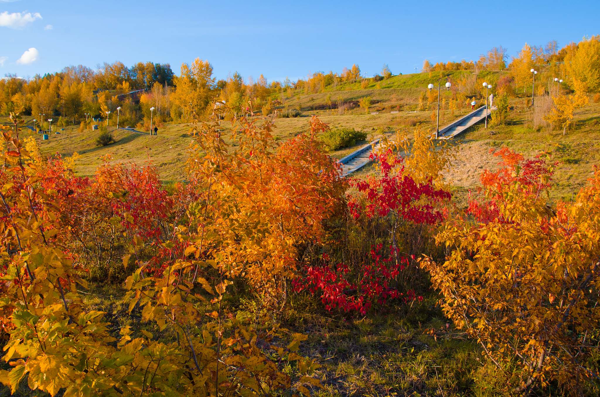 秋天的朔州右玉南山公园,是否比夏日更显得生机勃勃?
