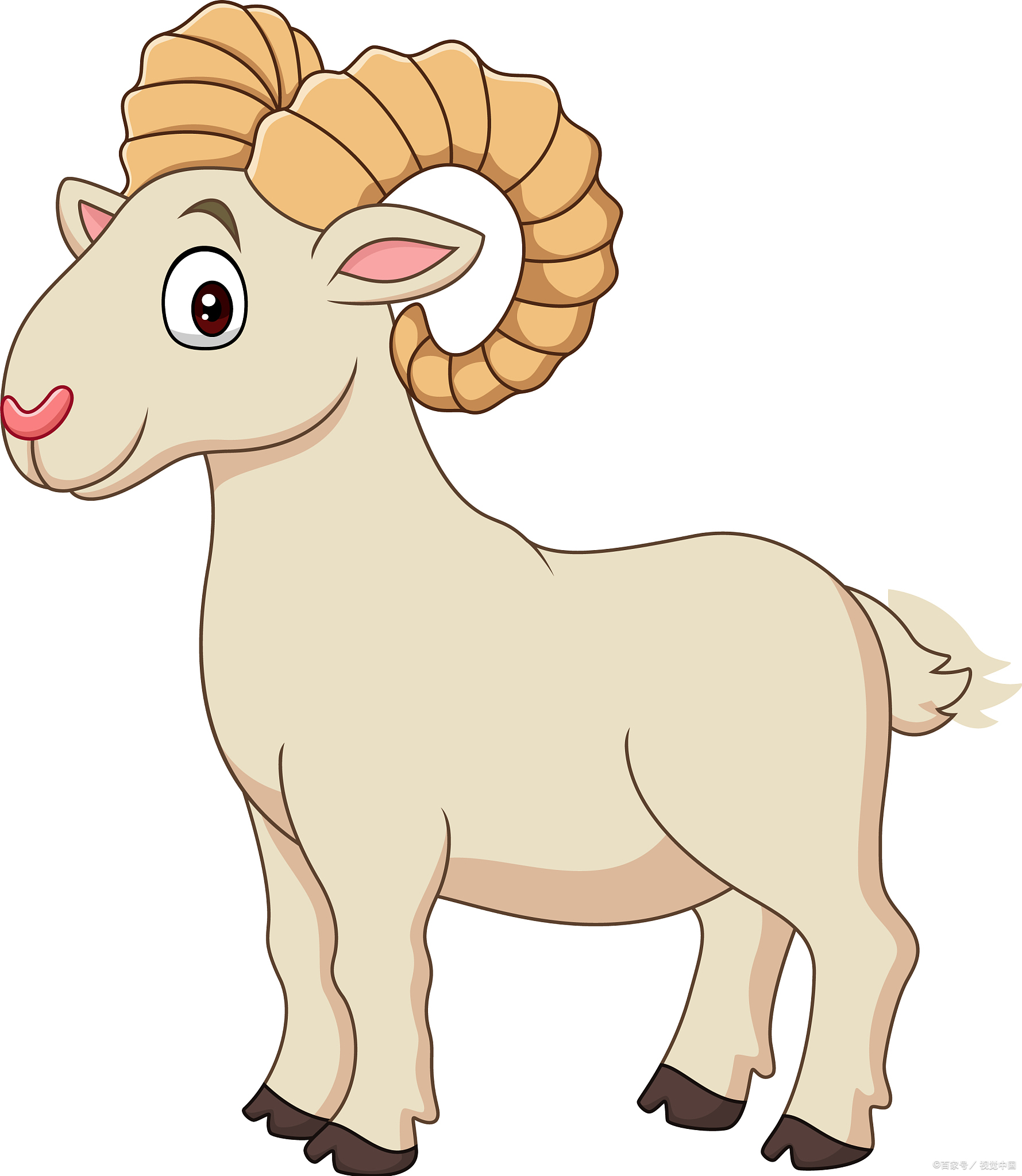 1991年属羊男未来5年的财运