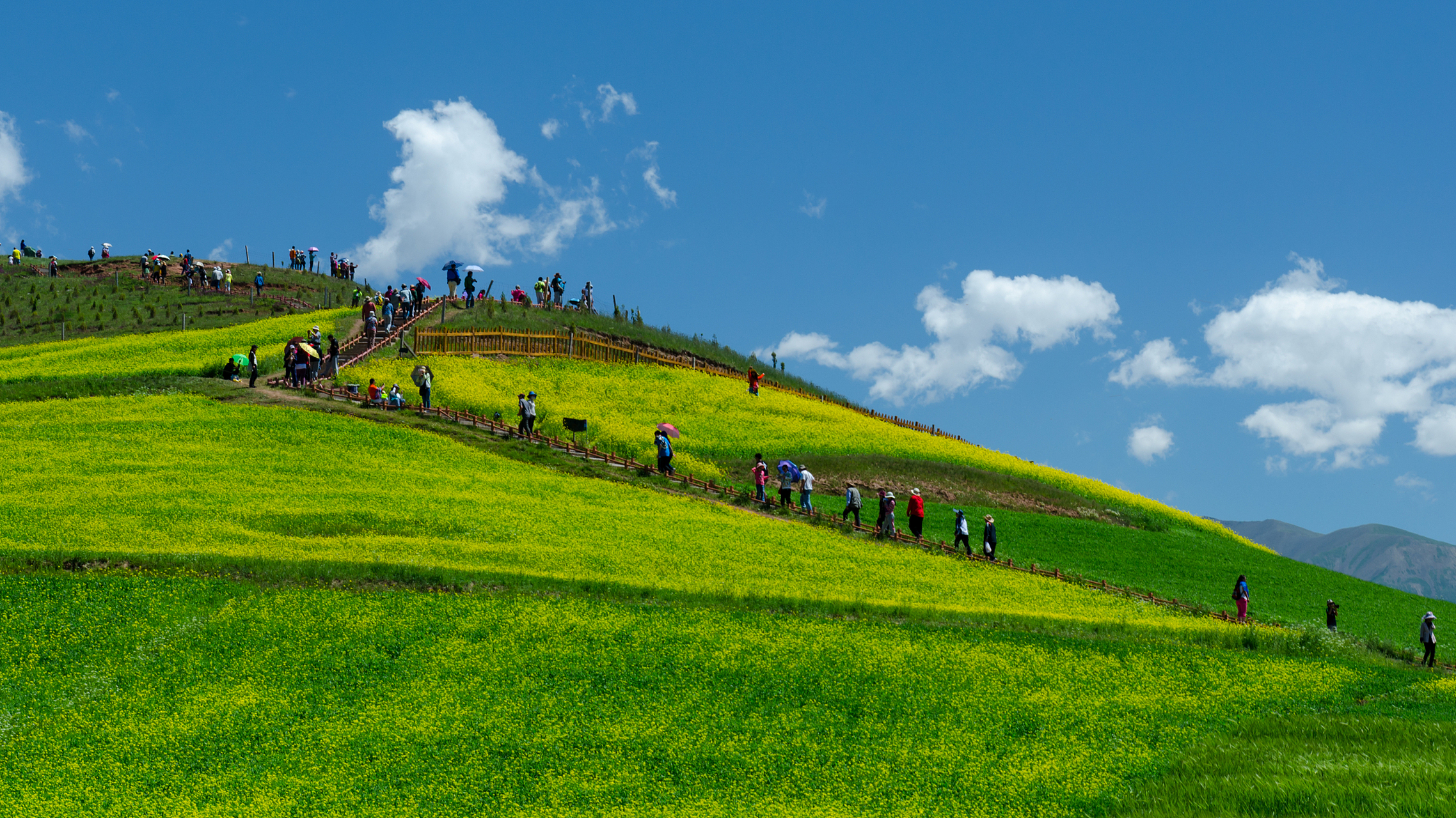 奇遇那拉提#位于新疆伊犁哈萨克自治州的那拉提空中草原,是一片庇誉