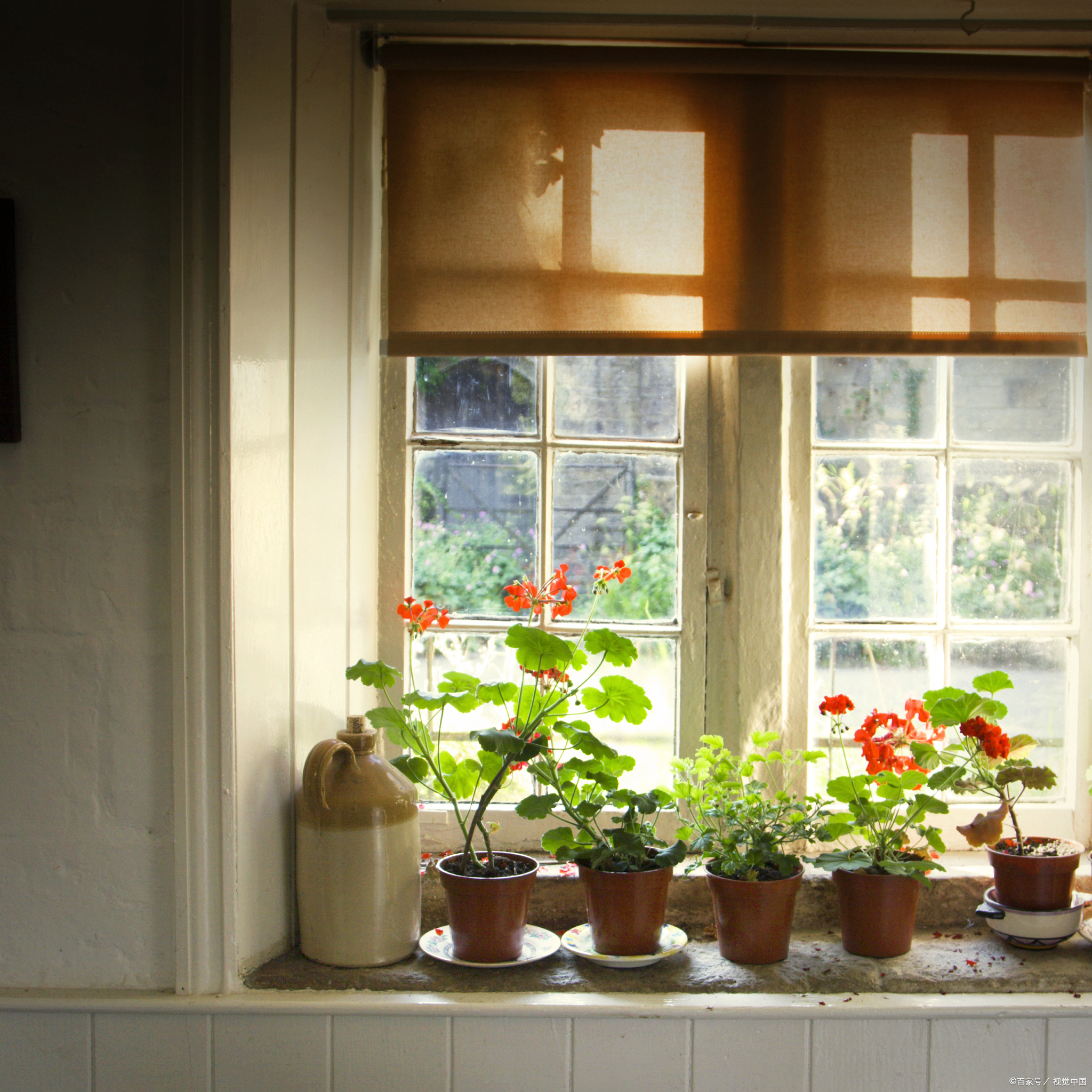每一缕阳光都蚀扒巴计缟虾 阳光窗台清晨窗台阳光清晨阳光图片窗户