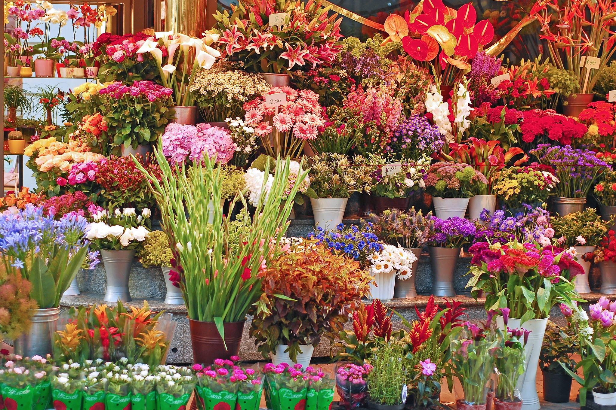 花店真实鲜花图片大全图片