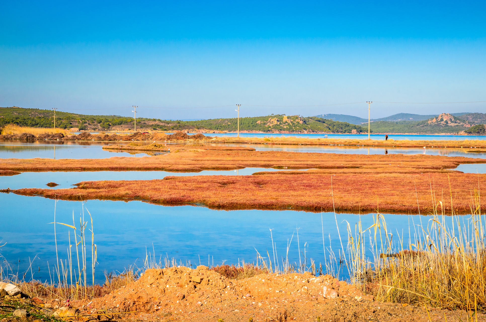 威宁草海,位于贵州毕节,是一个以水面行船和赏花而闻名遐迩的景点.