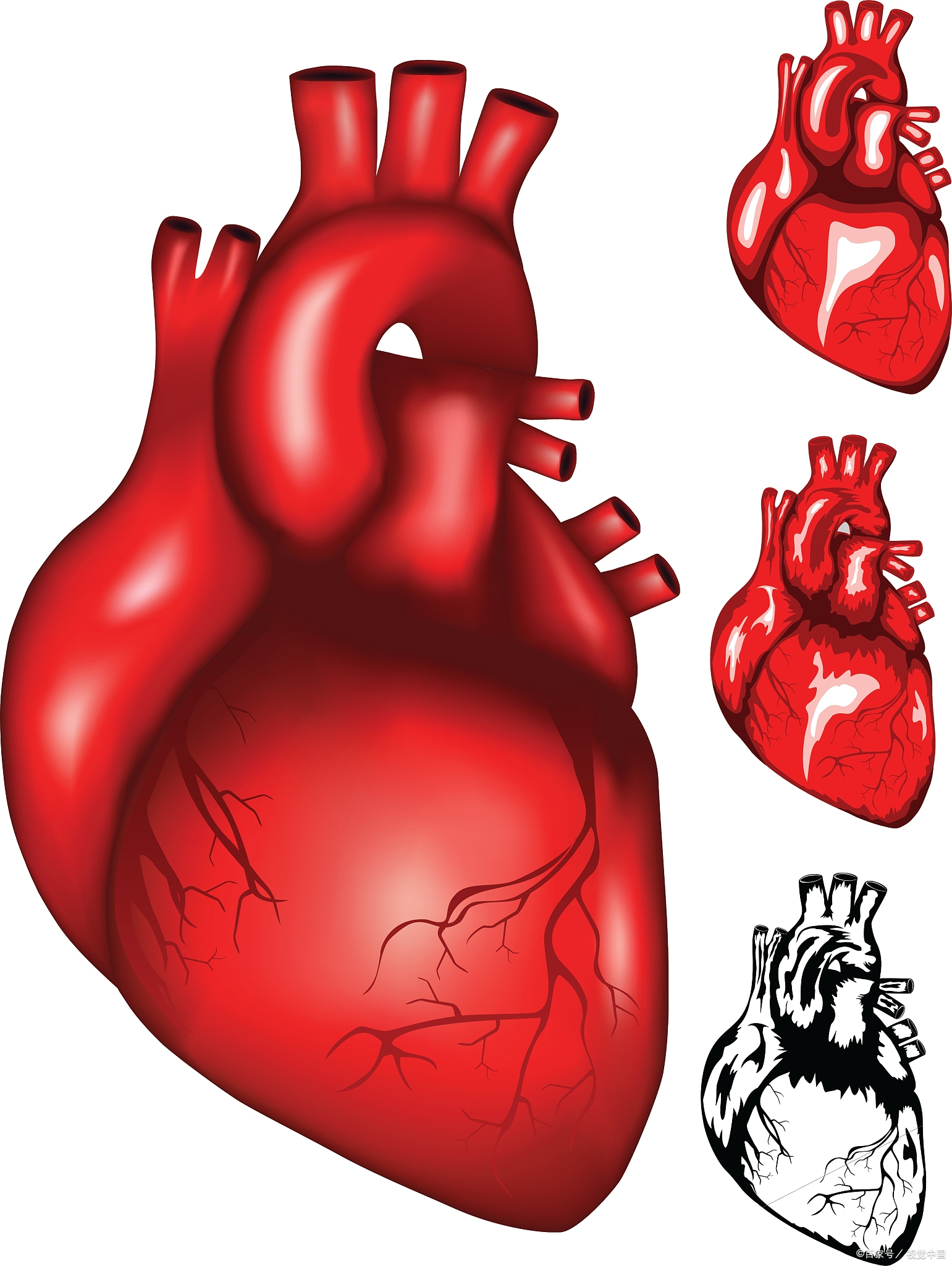 别紧张,虽然我是一名心血管科的医生,但保证这次分享既专业又接地气