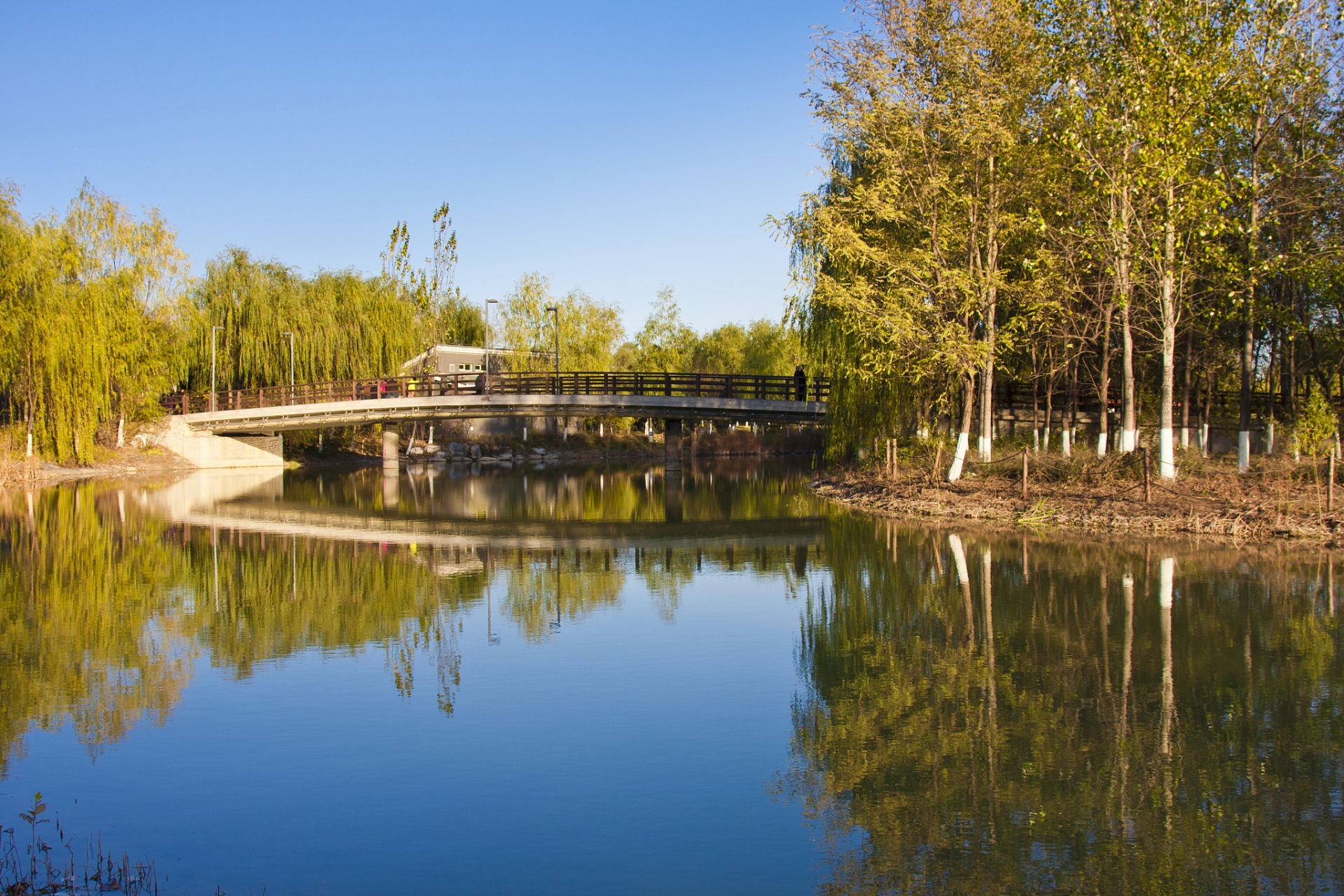 秋日环游指南# 天津最适合赏秋的3个公园如下:  东丽湖公园 .