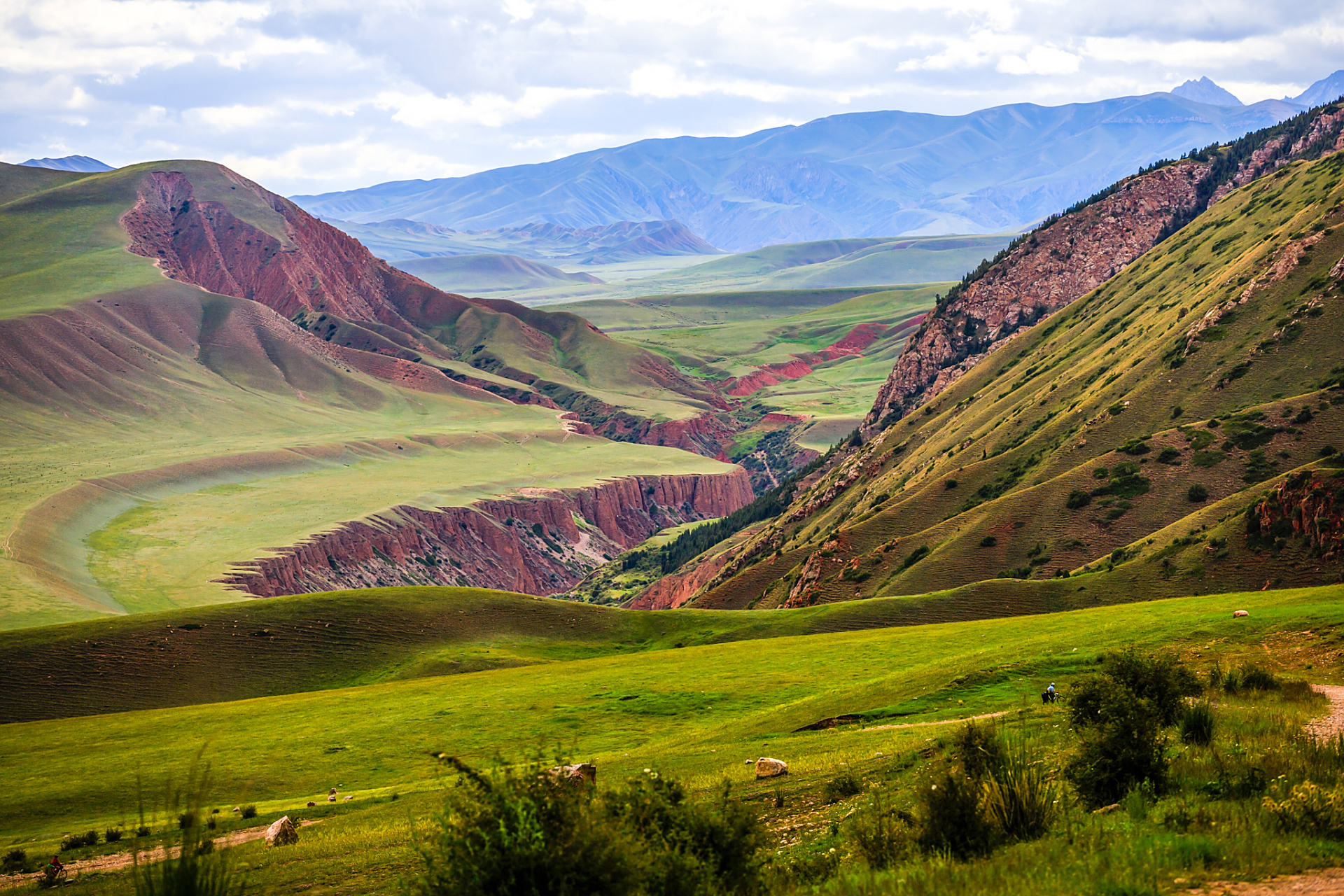 奇遇那拉提#新疆那拉提刀把山风景区是新疆一处极具特色的旅游镜沣