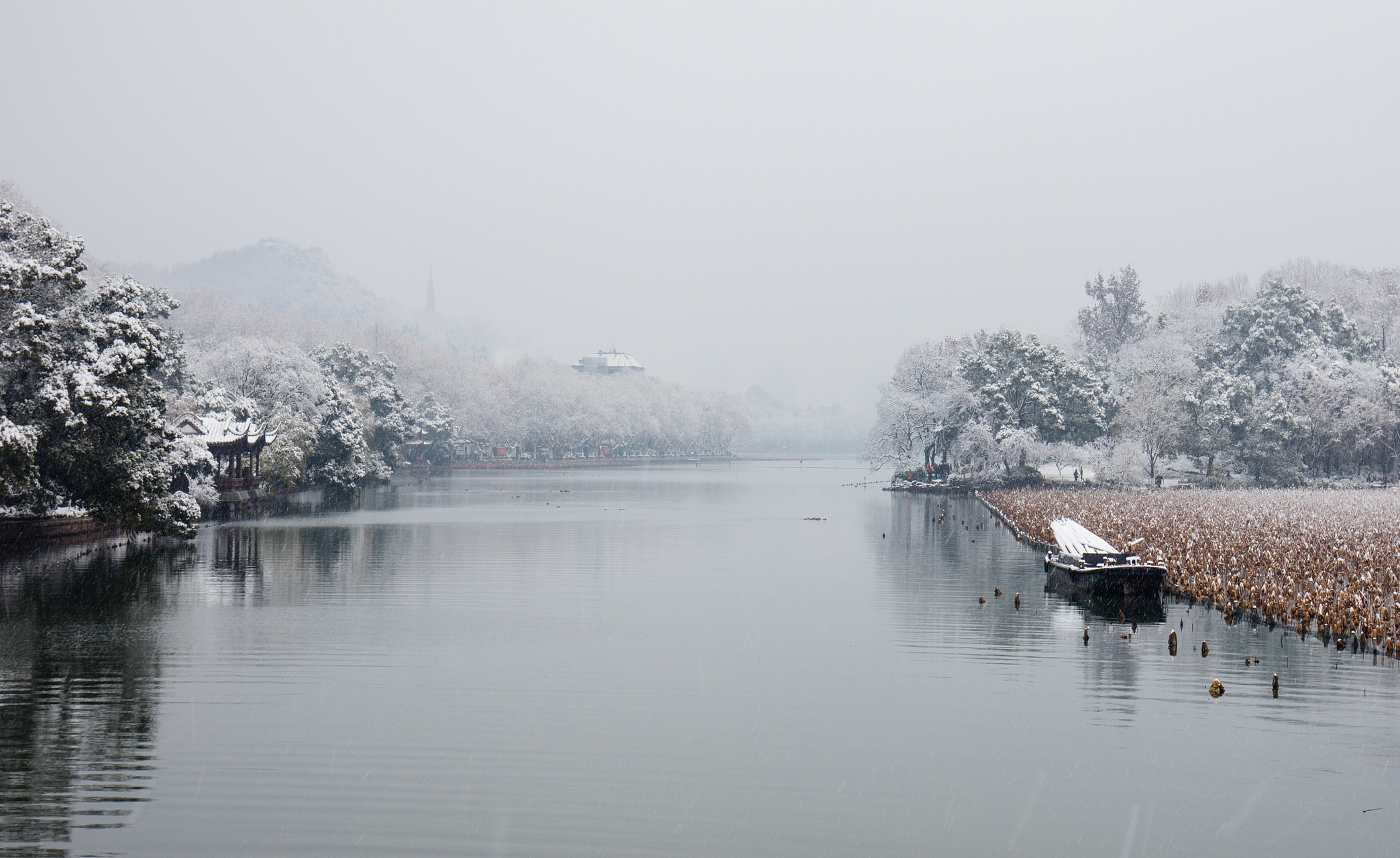 冬天的景色飘雪图片