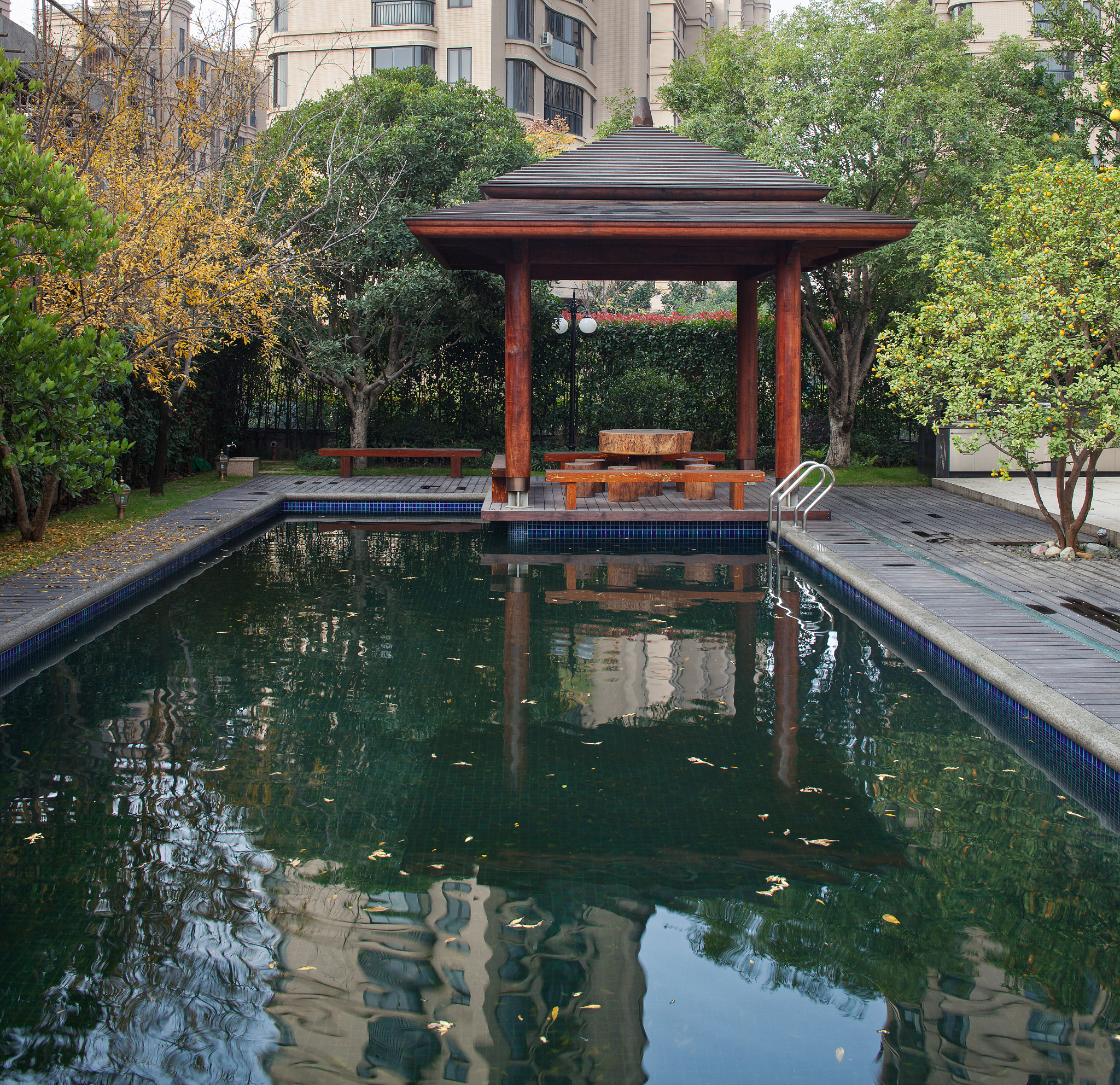 苏铁 锦绣山庄展桂花,炊烟袅袅夕阳斜