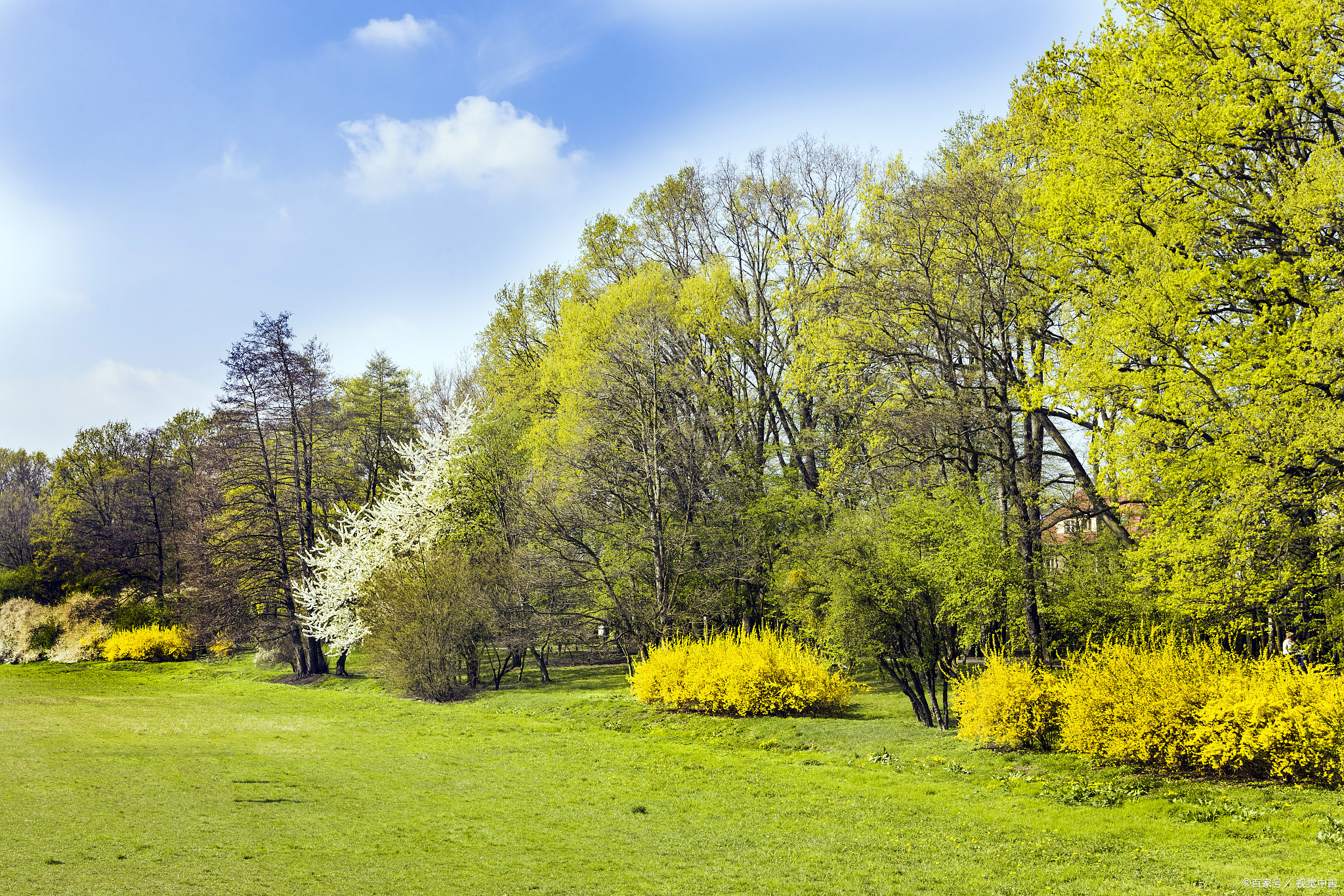 人生转折点:每一次选择都是新的开始