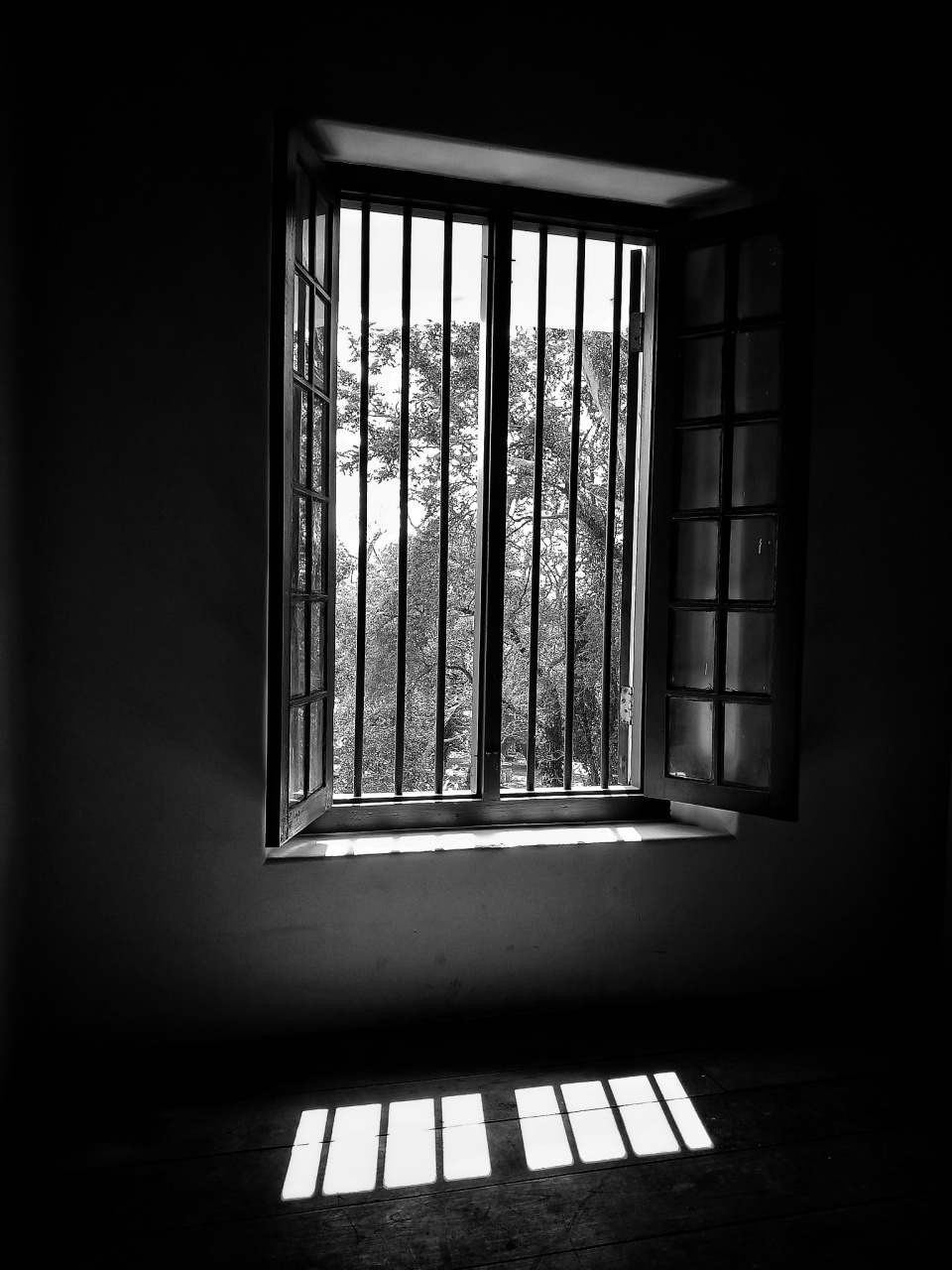 《铁窗泪》是一首关于狱中生活的歌曲,而陕西贪官陶虎生则因其爱唱这