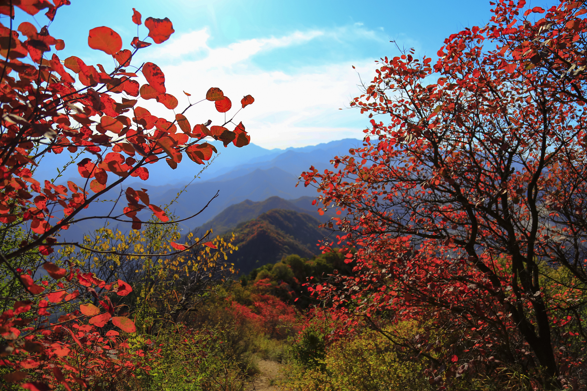 红叶柿岩旅游区是一个以红叶景观为主题的风景区.