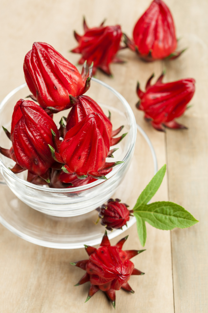 洛神花,也被称为玫瑰茄,是一种具有多种花语和寓意的花卉.