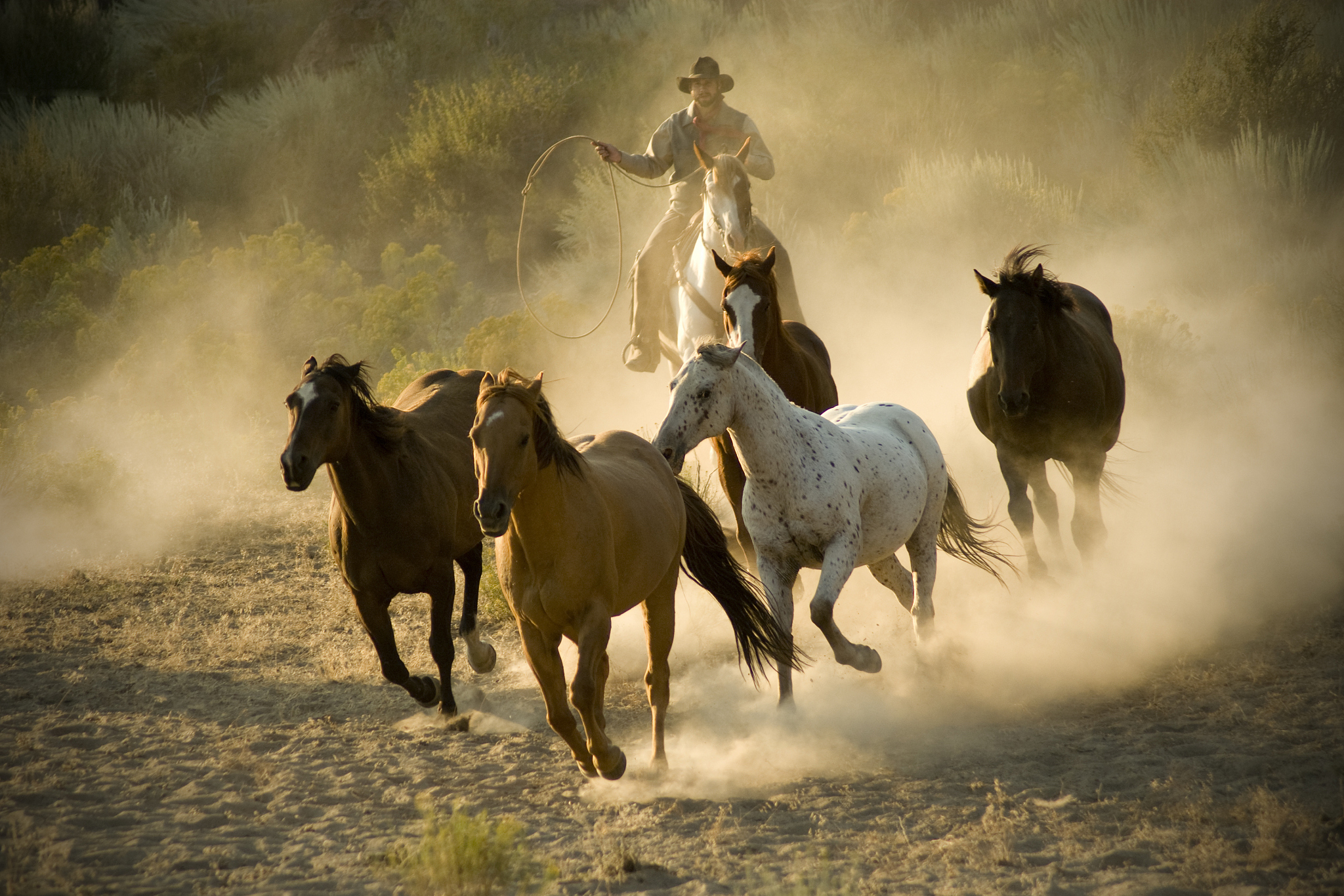 年轻时,我们要有梦想和追求,学会坚持和拼搏;成熟后