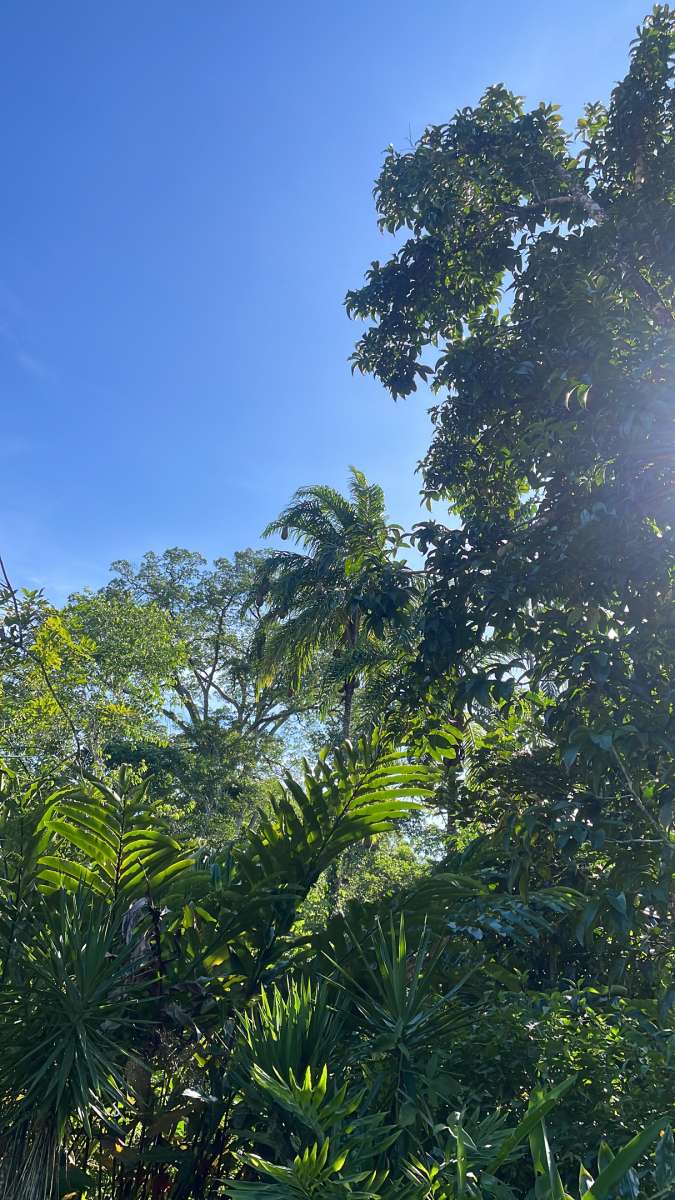 不辜负每一个今天,就是对未.@男科医生李文海的动态