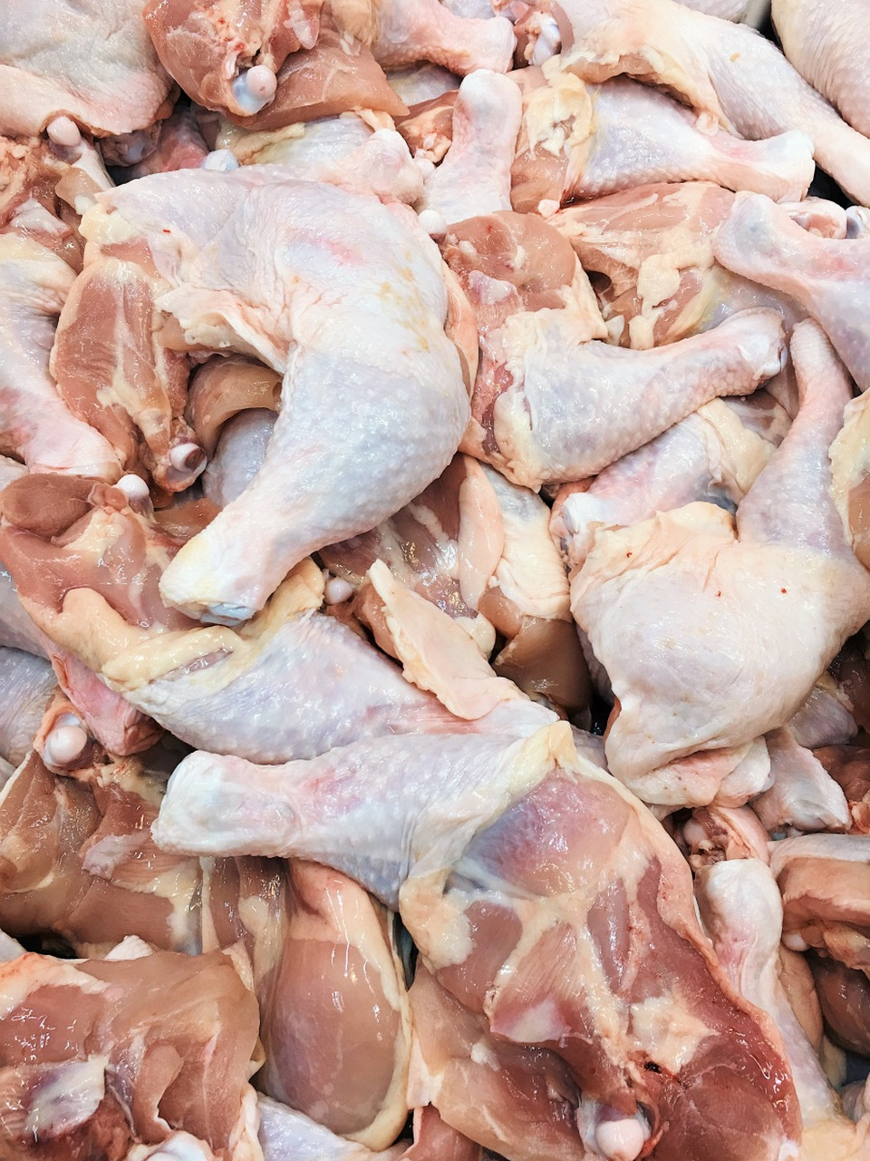 春天煲汤,鸡肉和它是绝配,煮一锅鲜香味美更甘甜,营养全面