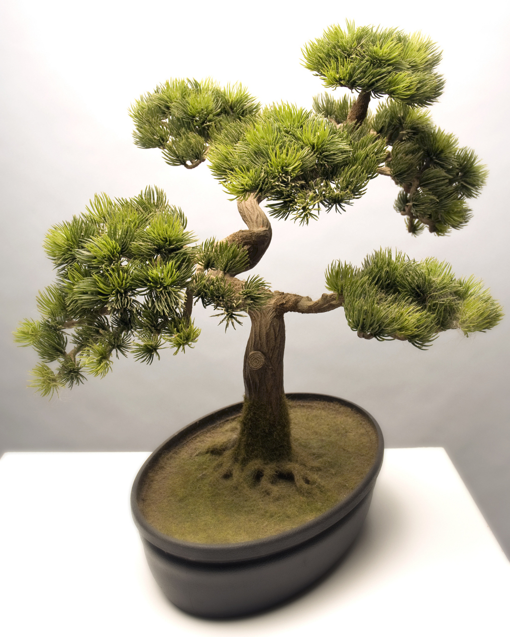 马尾松四季苍翠,傲然独立,潇洒俊逸,是制作盆景的良好材料,又称"山松"