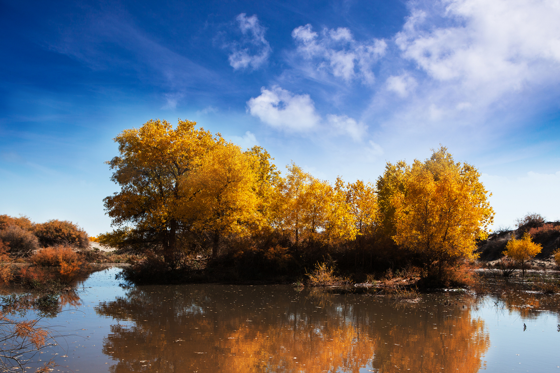 位于泽普县西南36公里处,与亚斯墩林场交相辉映,这里占地面积竟然有4