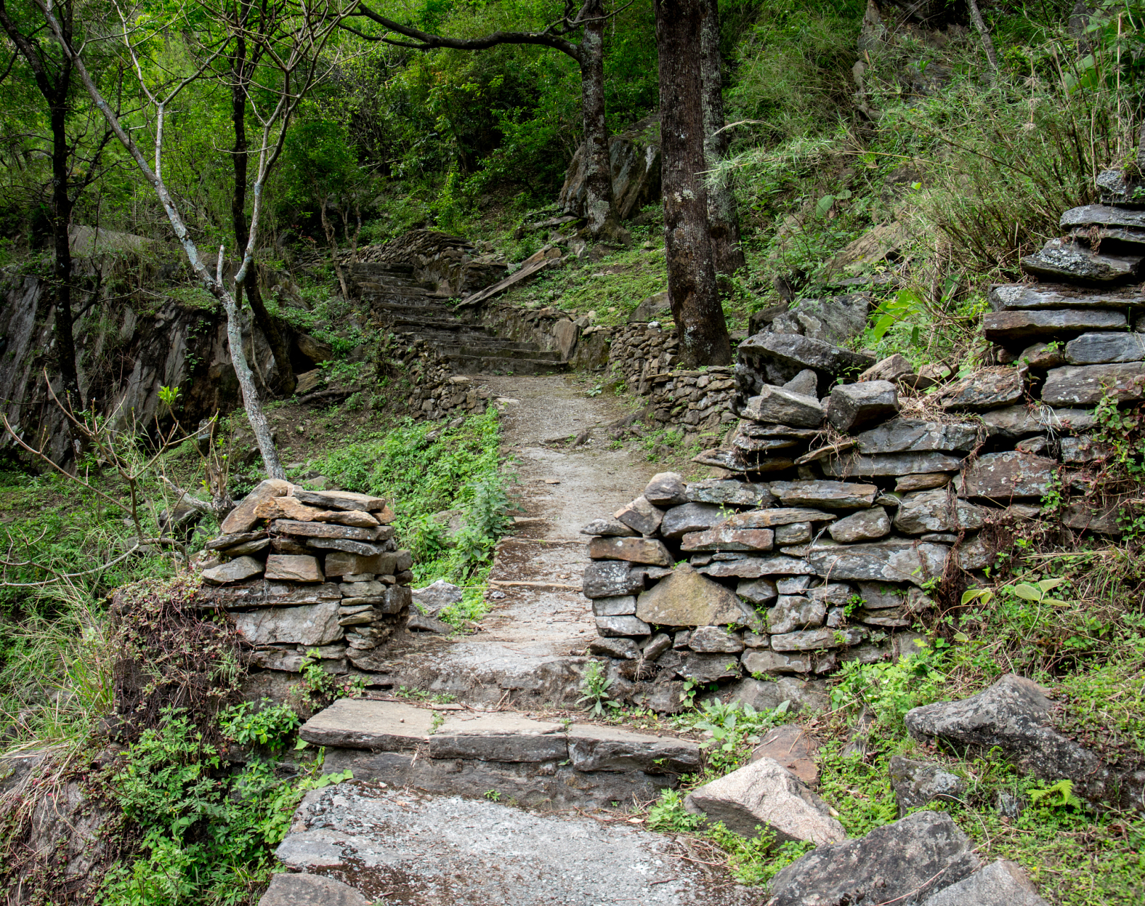 阴平古道:阴平古道是古代阴平道的重要组成部分,是中国历史上南北交通