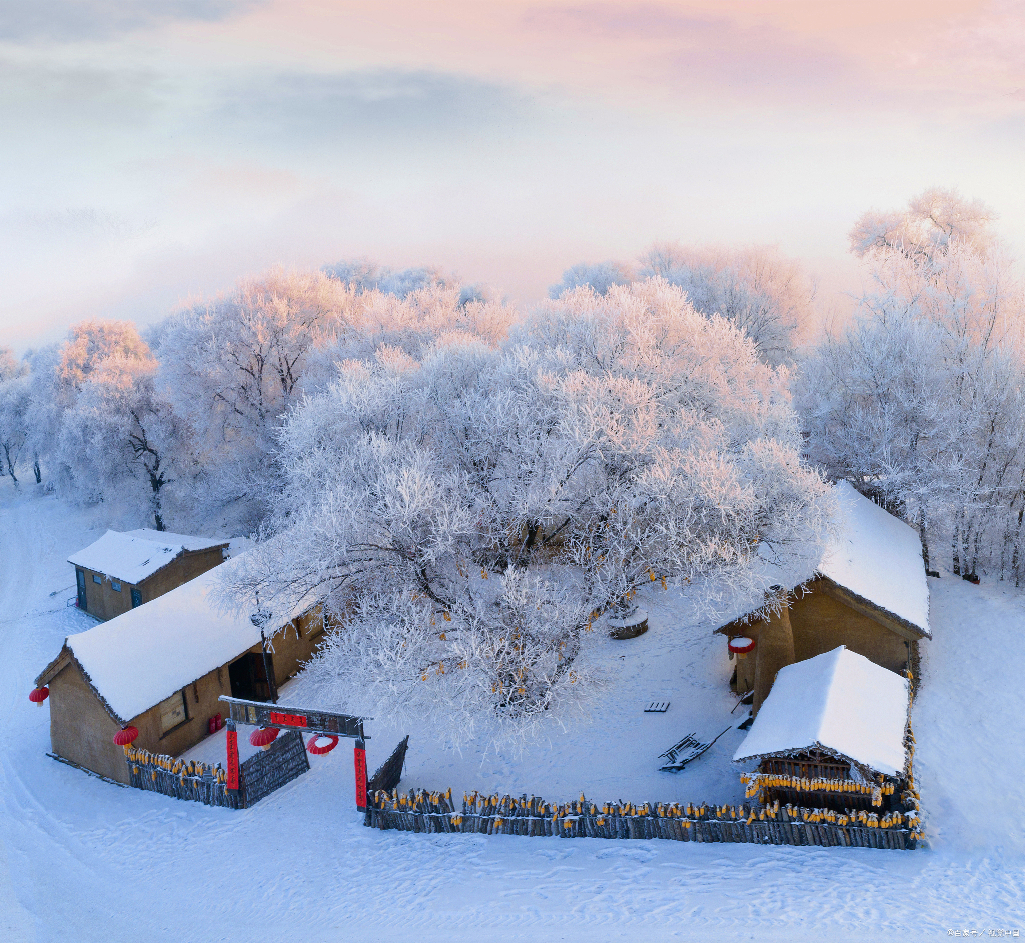 农村小院雪景图片大全图片