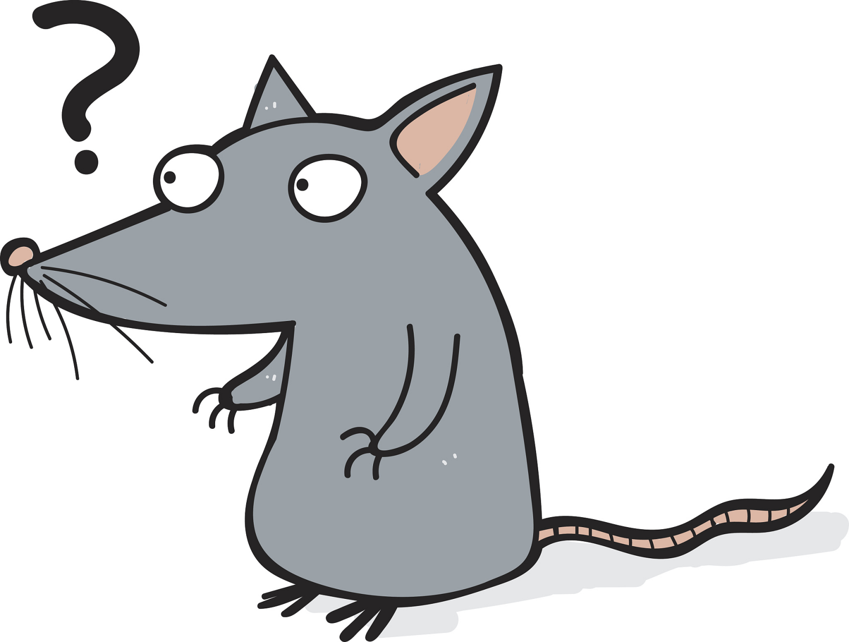 女生被老鼠咬,反咬老鼠一口报复