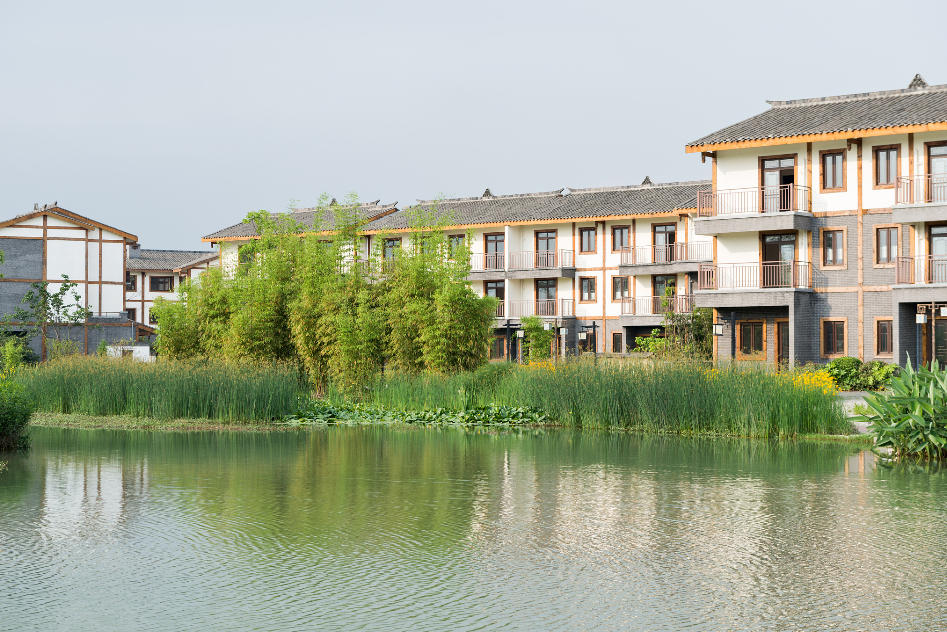 不论何时走进天府新区官塘村,都能感受到大自然的独特魅力.