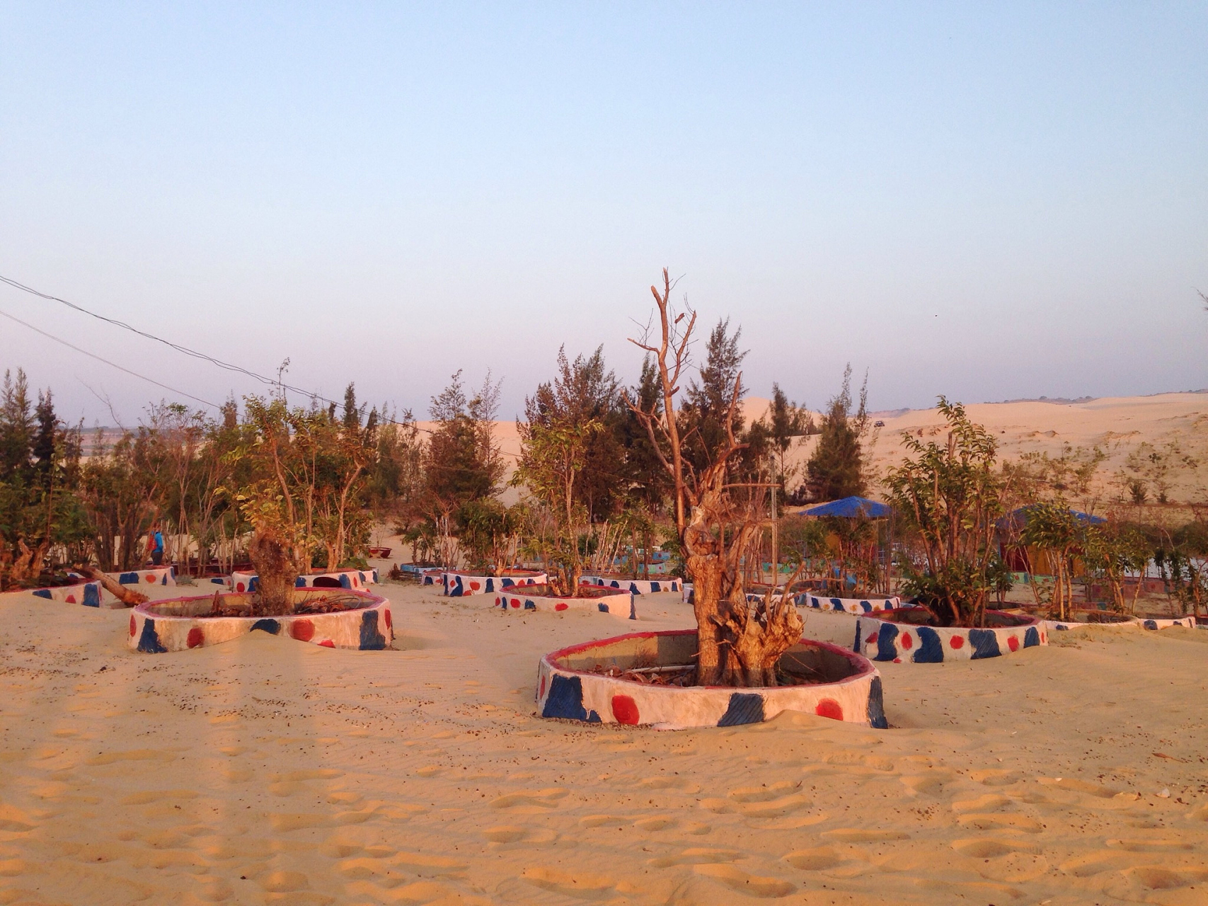 在中卫市沙坡头区的腾格里沙漠湿地金沙岛旅游区,是一个让人流连忘返