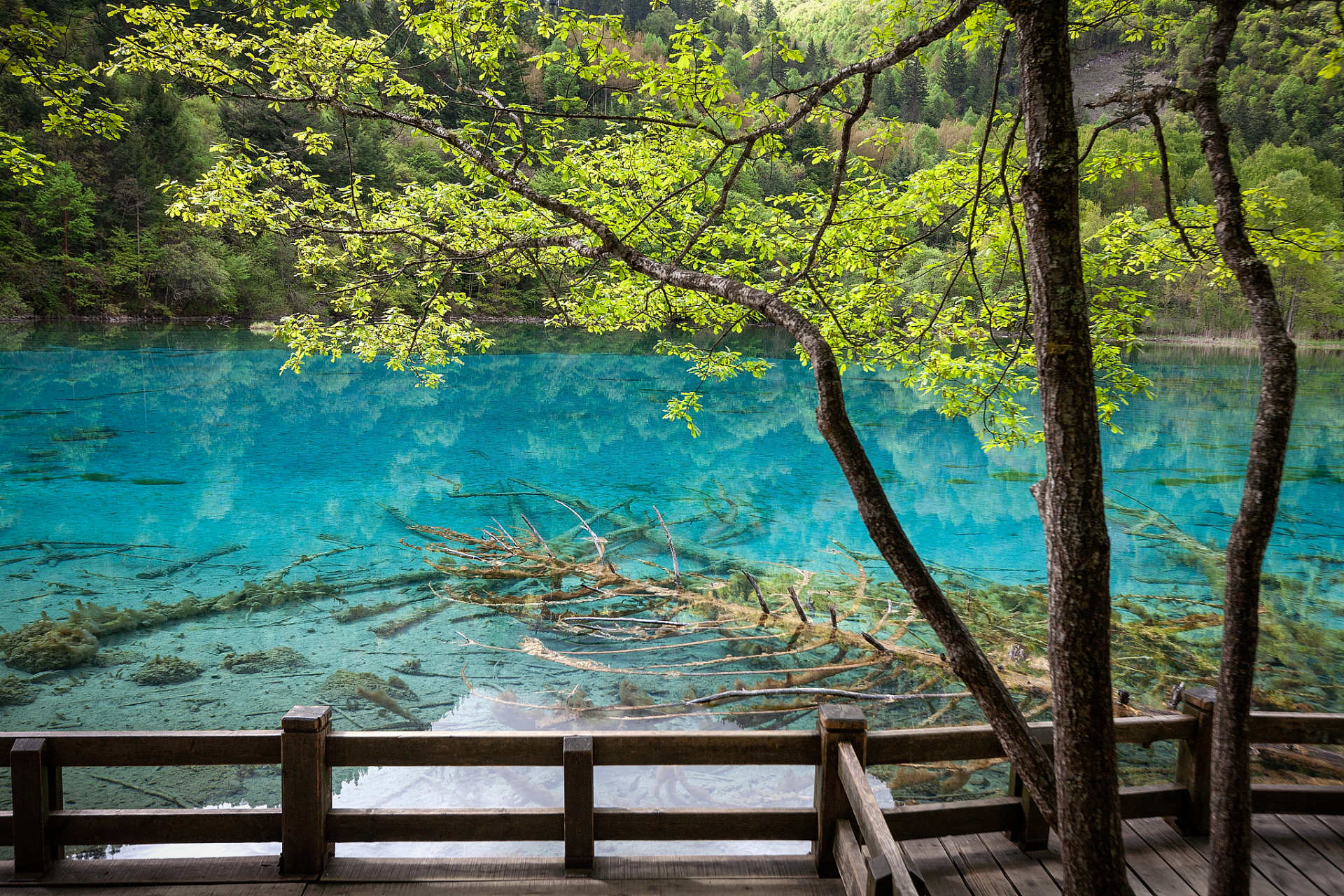 四川阿坝十大旅游景点图片