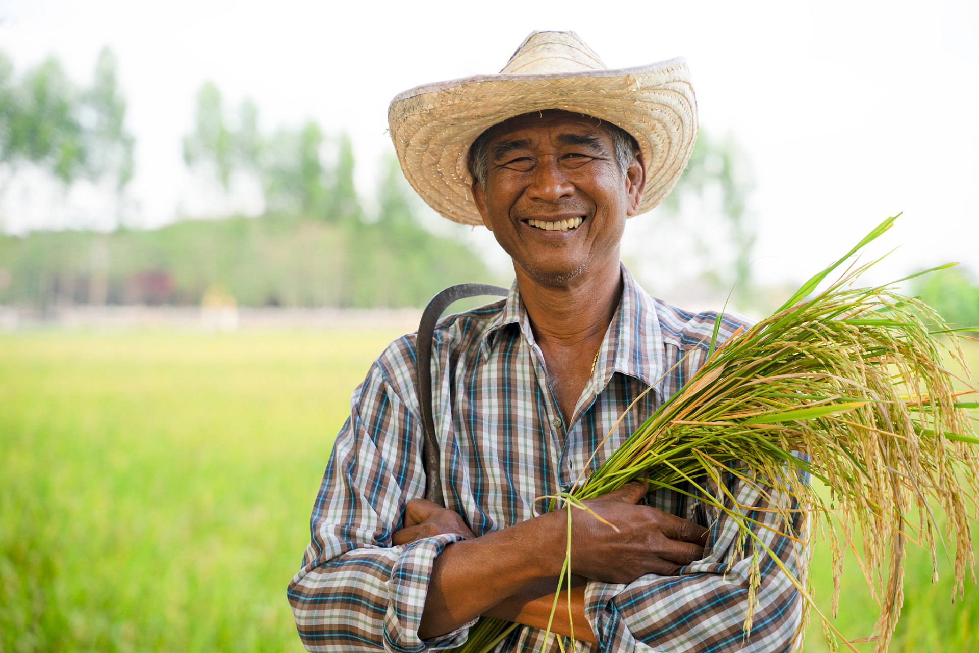 至少农民不用交一分钱,到了60岁就可以拿到退休工资,而我辛辛苦苦交了