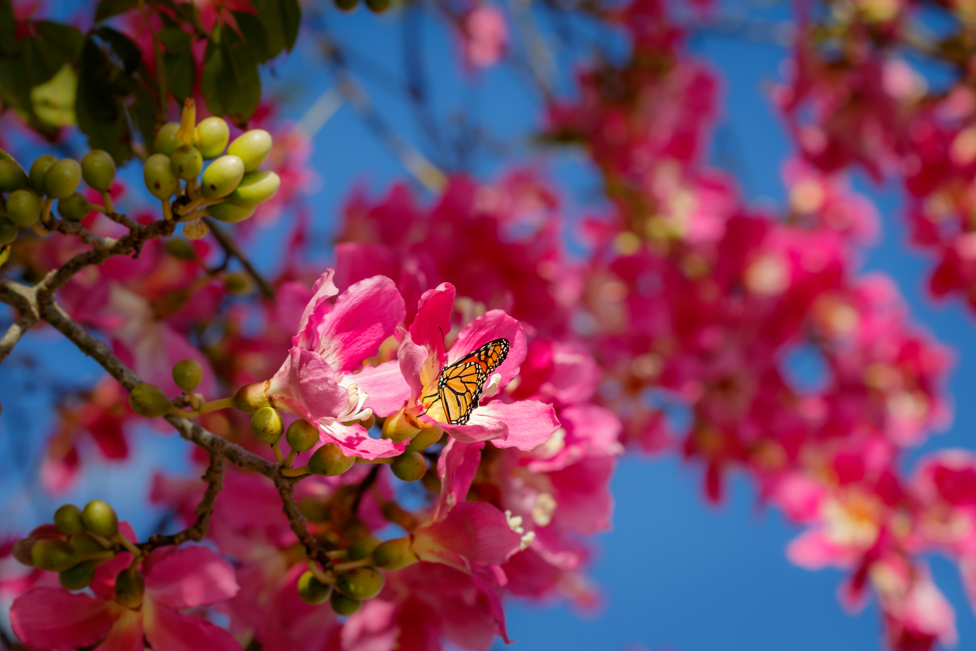 长春的春季是大自然复苏的季节,春游动植物园在这个时候更是生机盎然