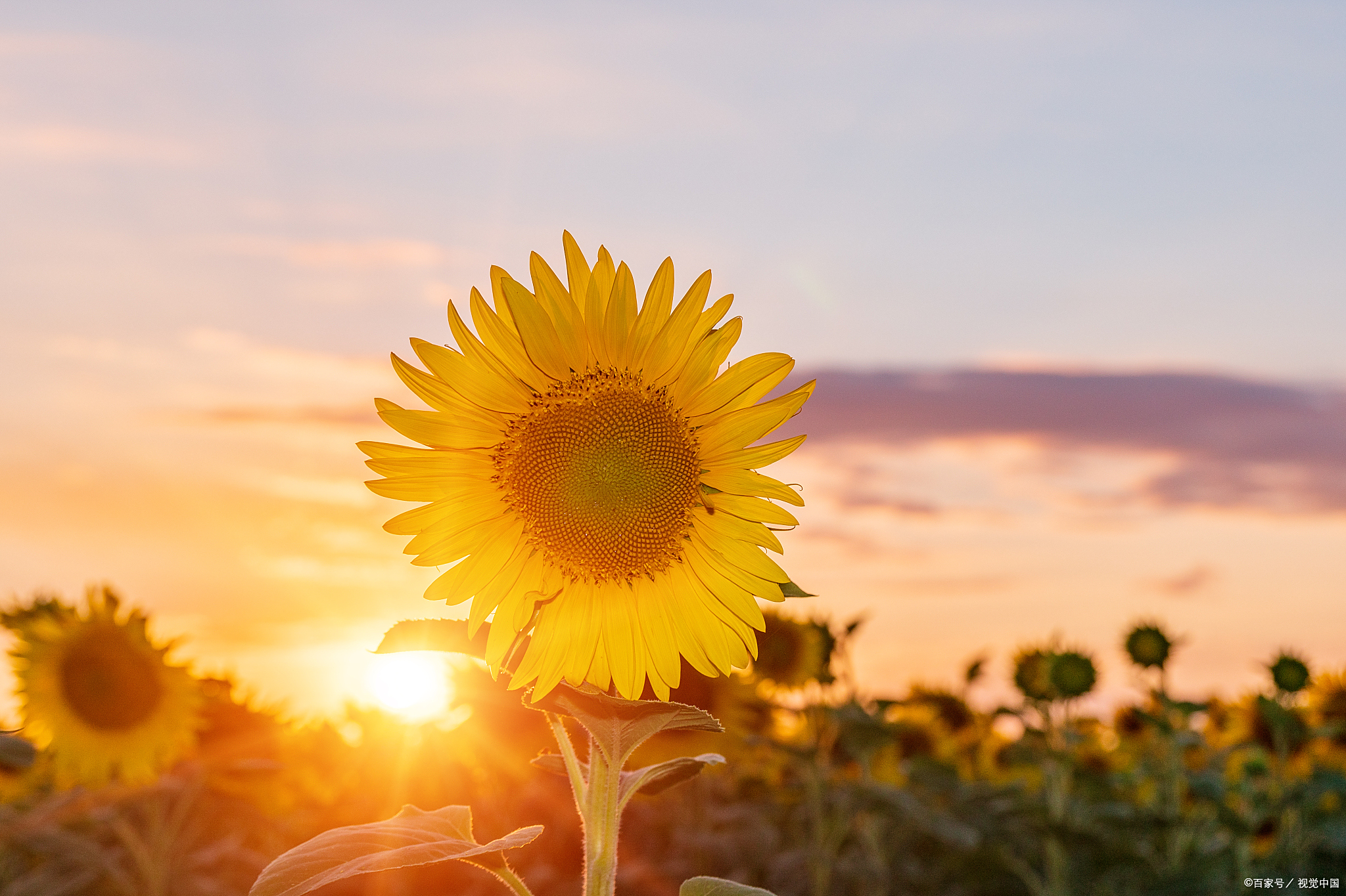 人生的七到坎,你过了第几个呢?