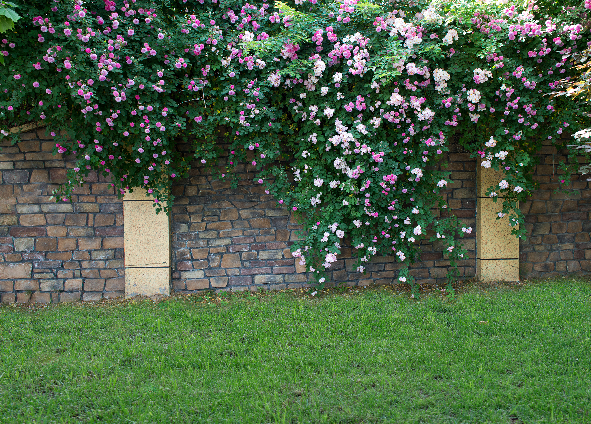 势可得而我勤之,此重得也;势不可得而我勤之,此重失也