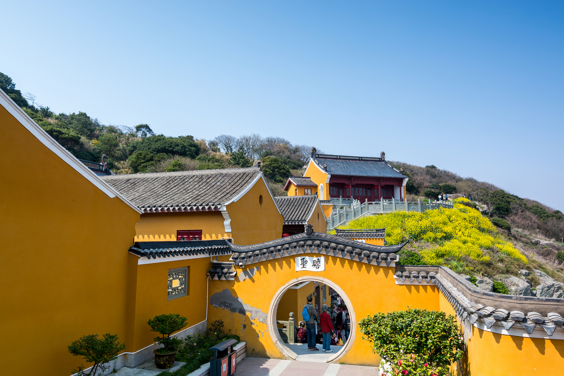 普陀山 海天佛国图片