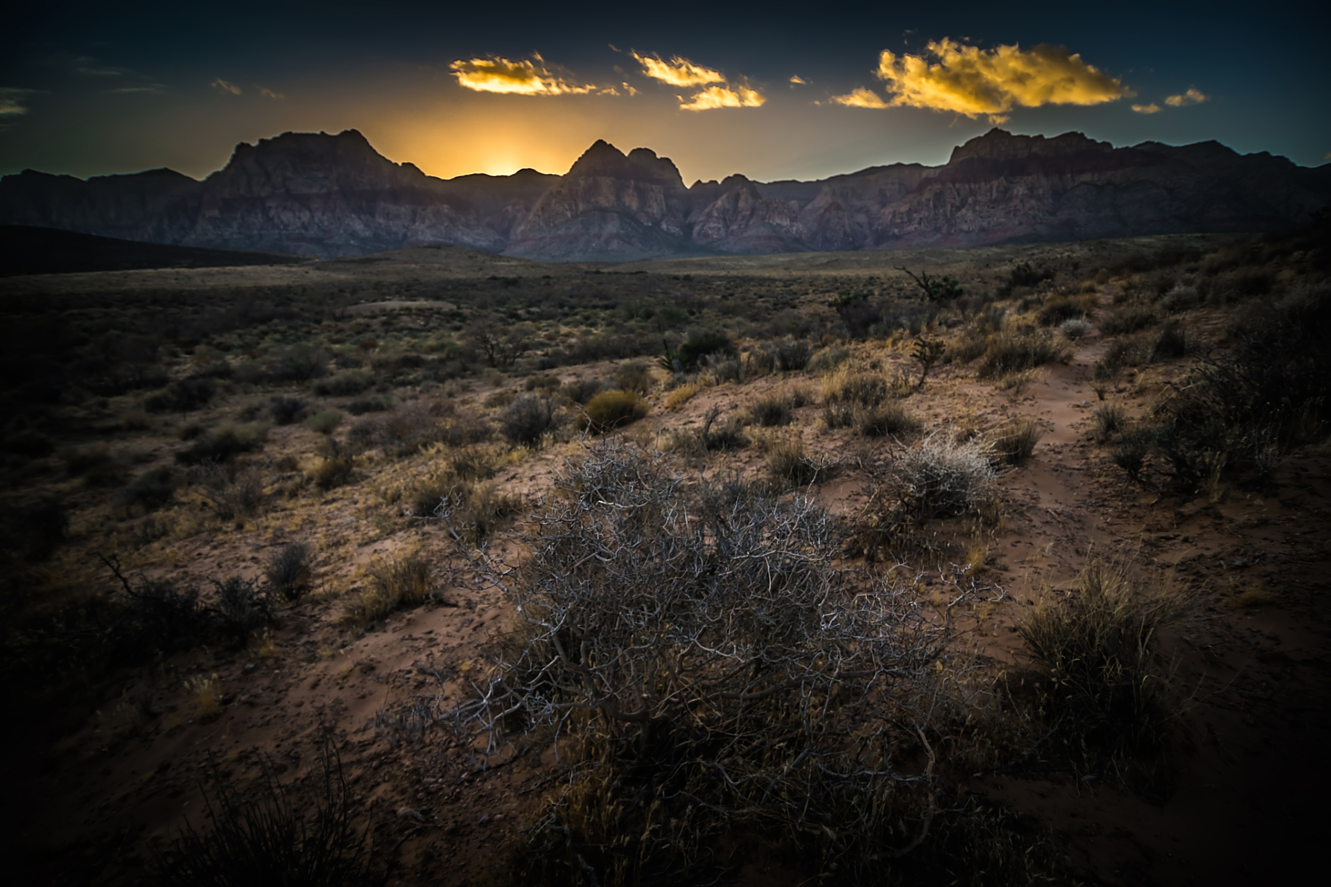 这一期我们的德爷荒野求生 在全球最危险的荒漠之一