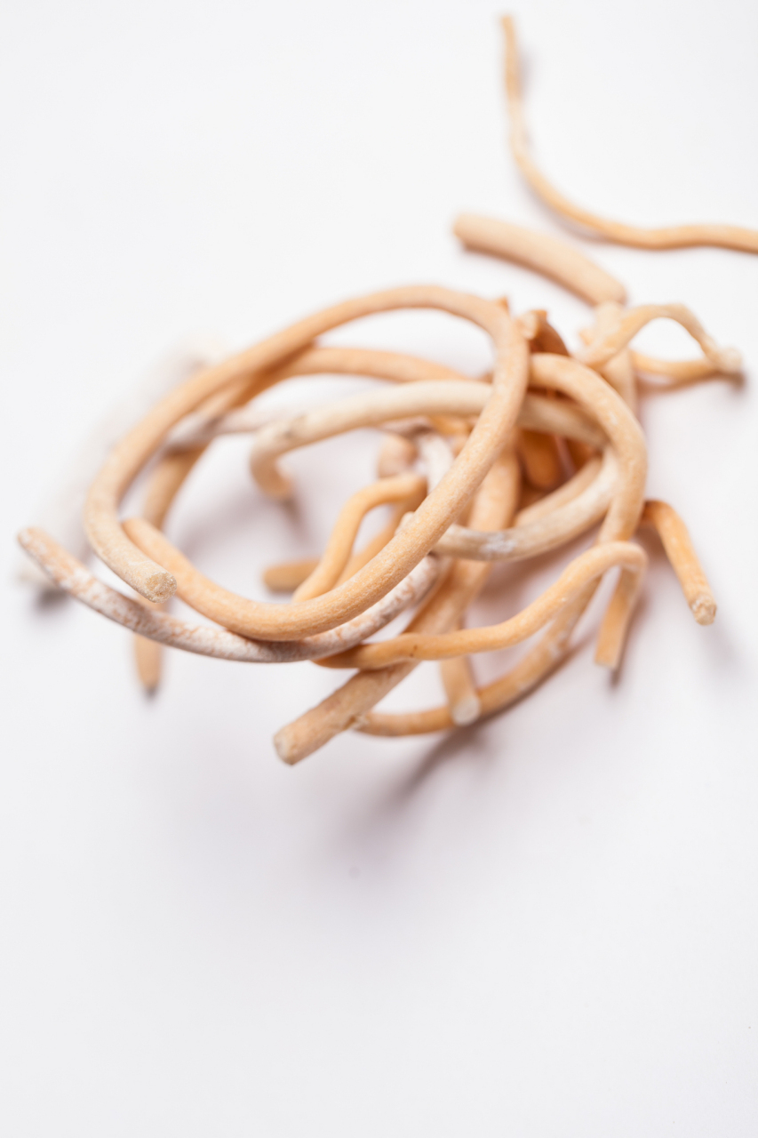 中药通草:清心降火,利尿通淋【仅供参考】  方组:通草,灯心草,白茅根