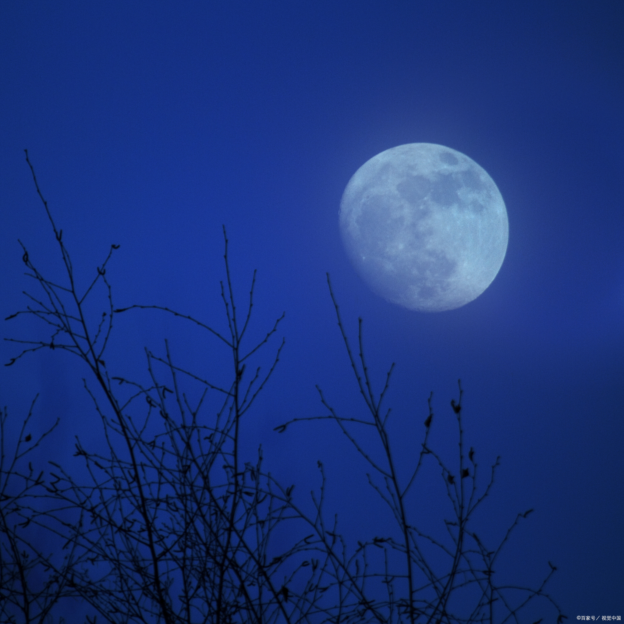 秋夜月色朦胧图片图片