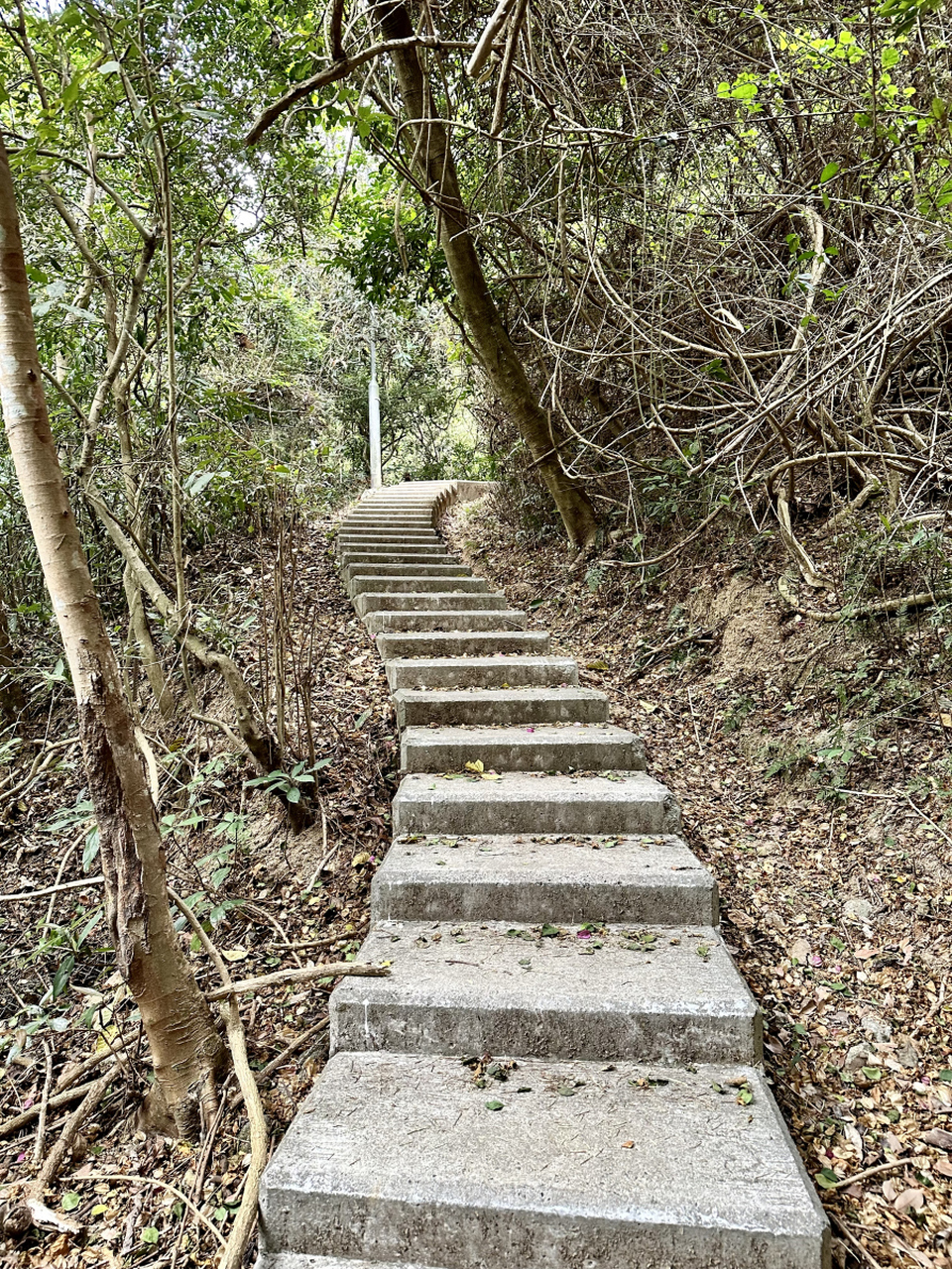 梅关古道观后感图片