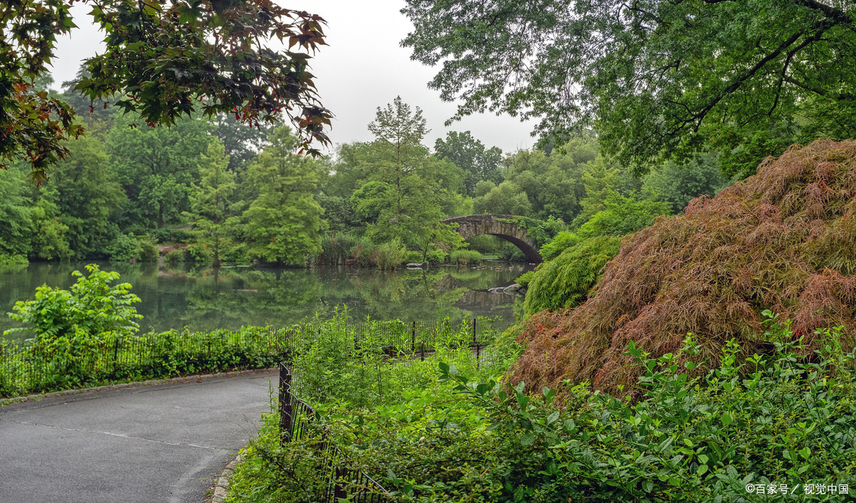 **杭州西溪湿地绿堤