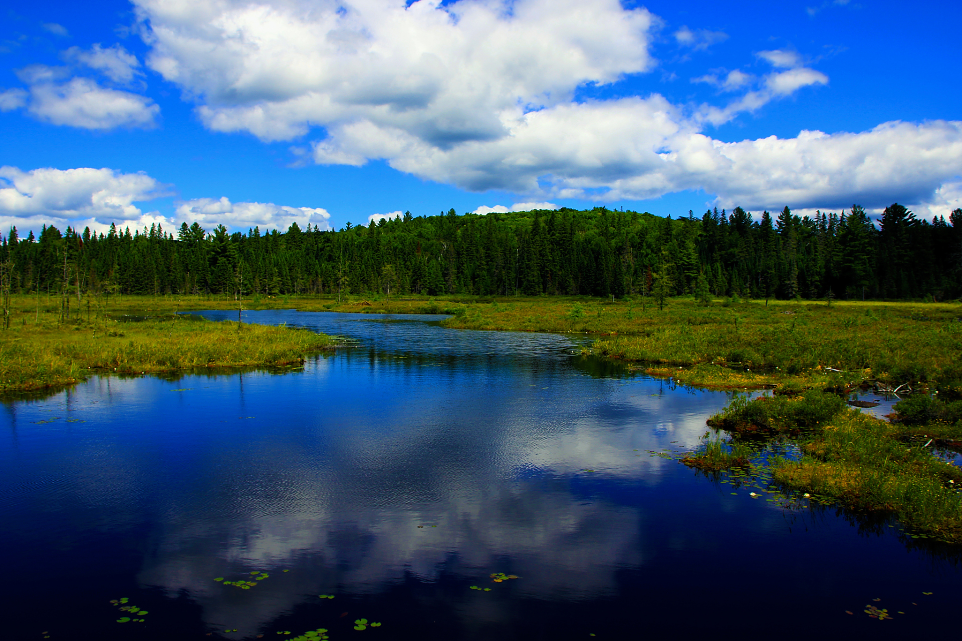 伊春市位于黑龙江省东北部,以汤旺河支流伊春河得名.