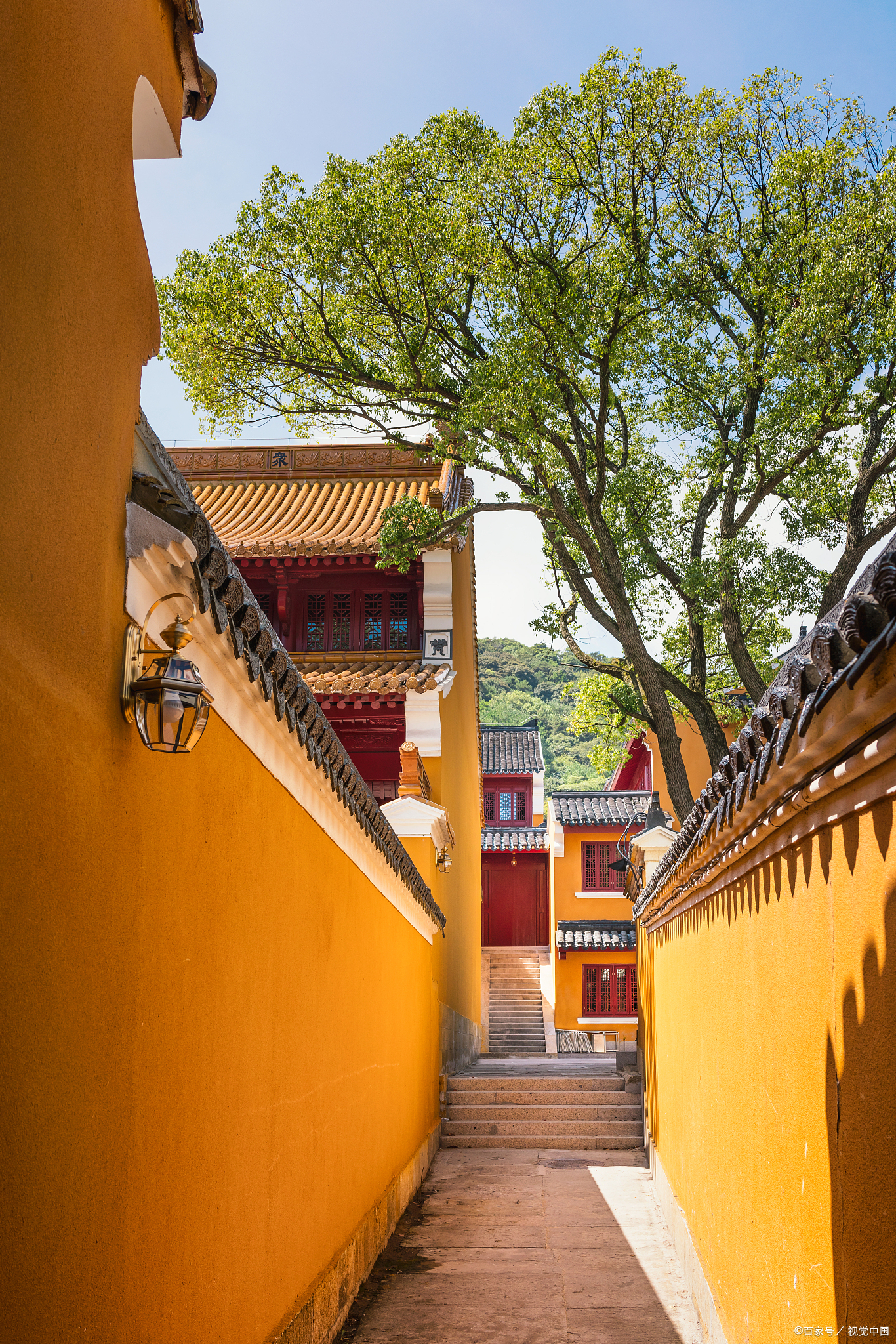 游庐山东林寺