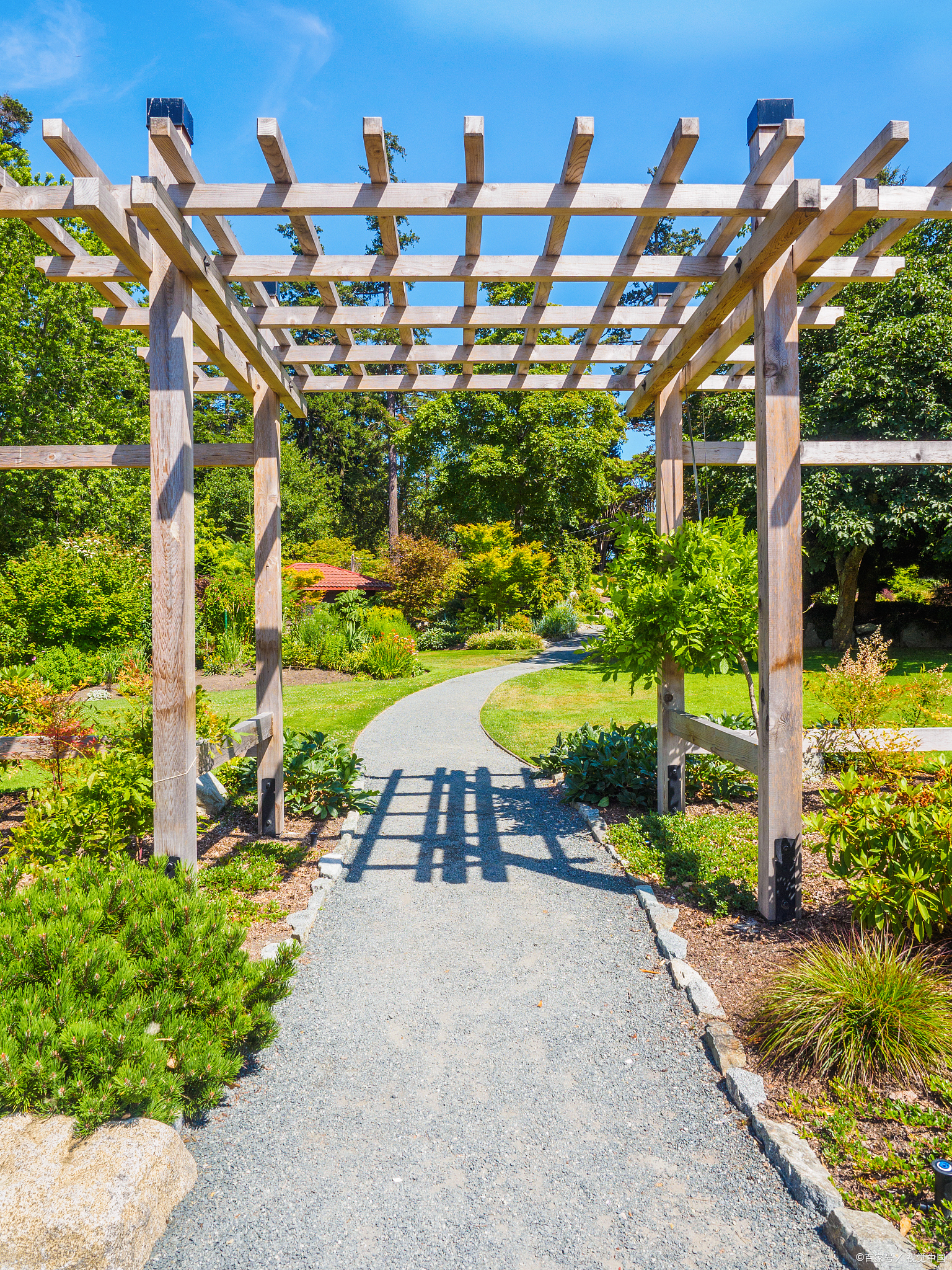 庭院中用防腐木打造的葡萄架