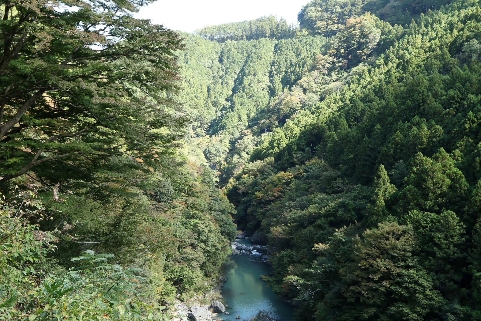 夏日慢慢游