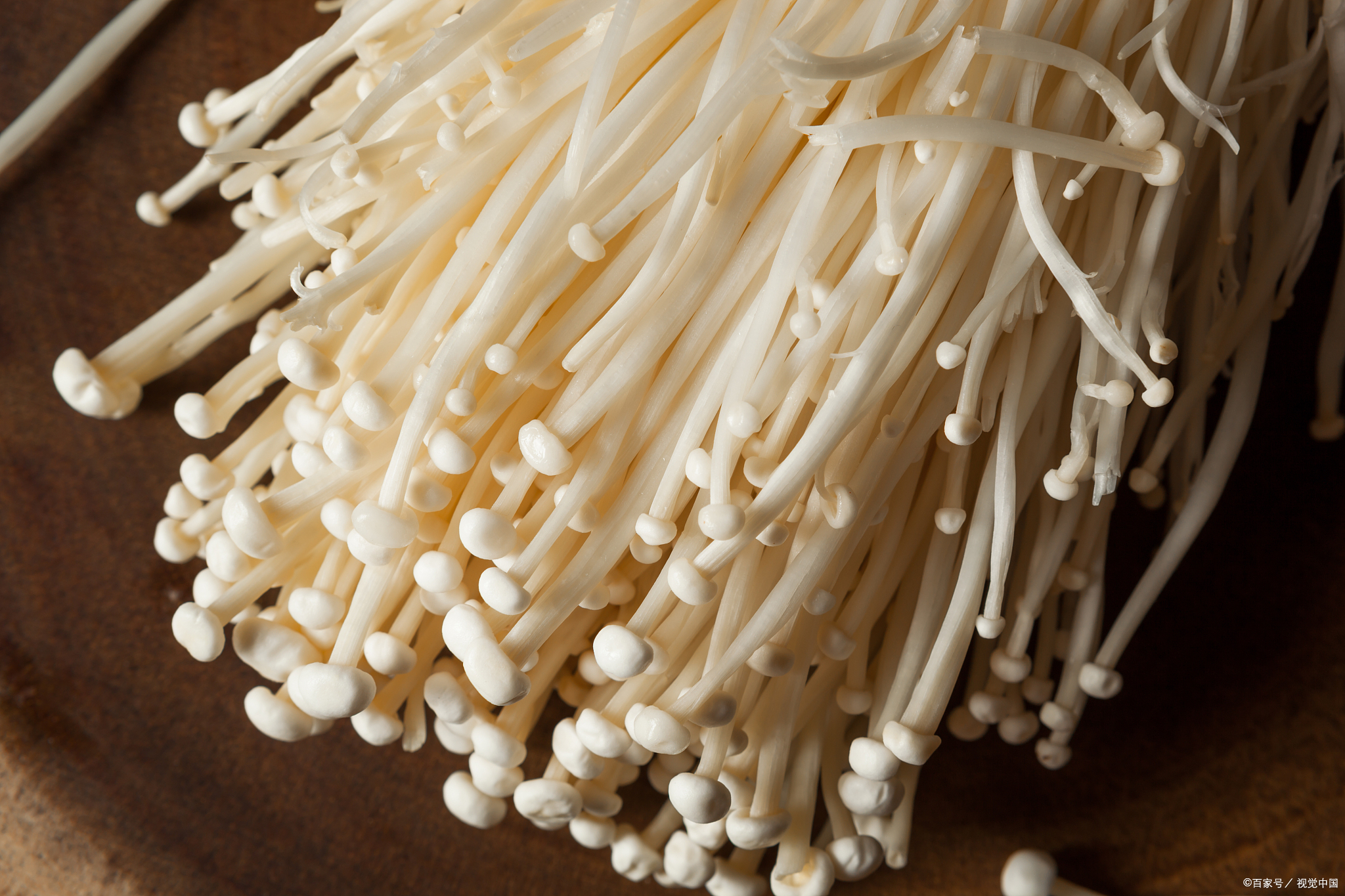 Edible mushrooms