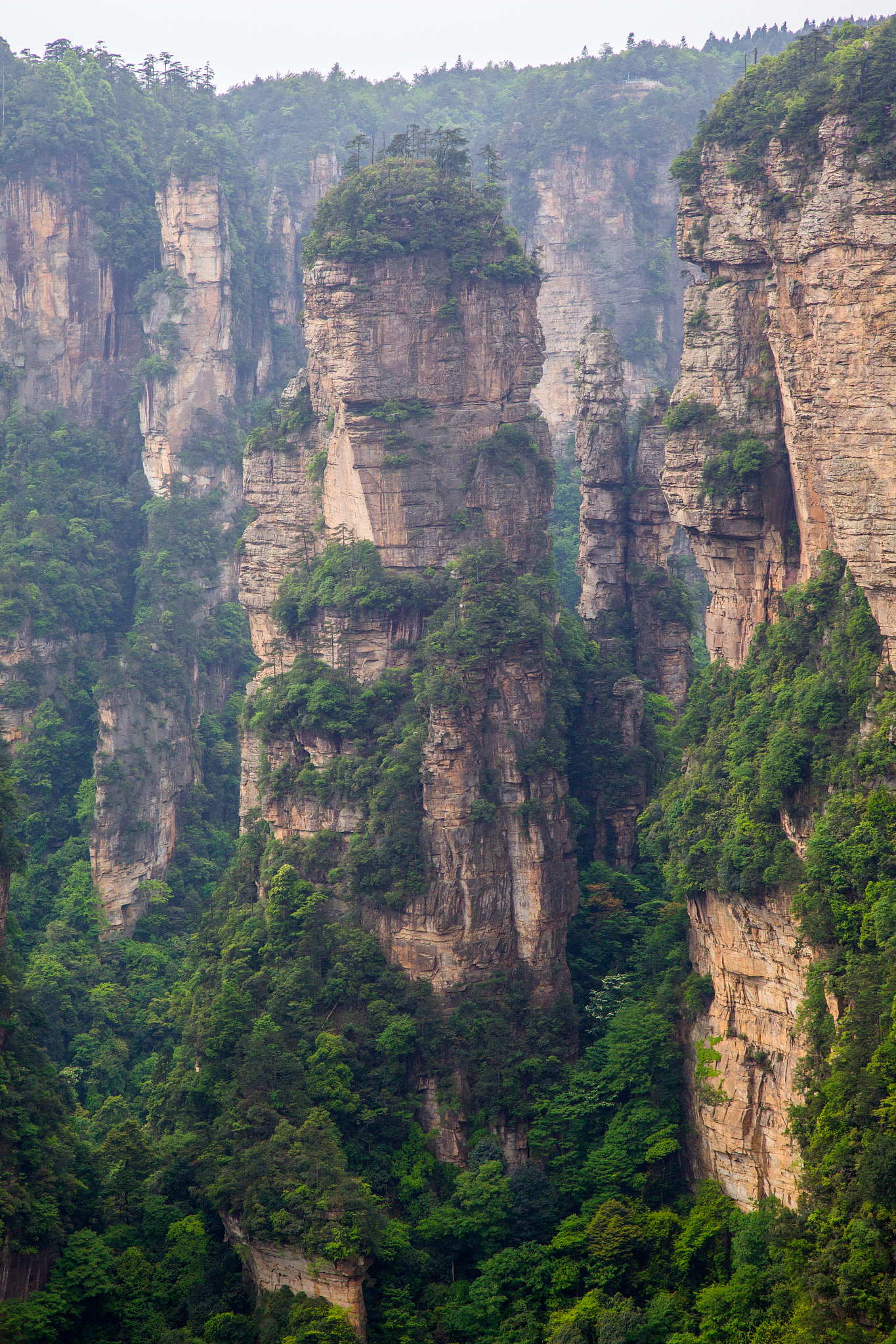 河南神农山自然风景图片