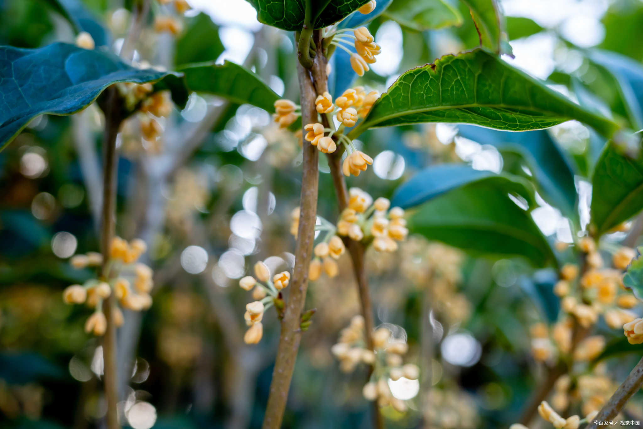 在网络联系的时候,次次回复信息都慢.@话清秋的动态
