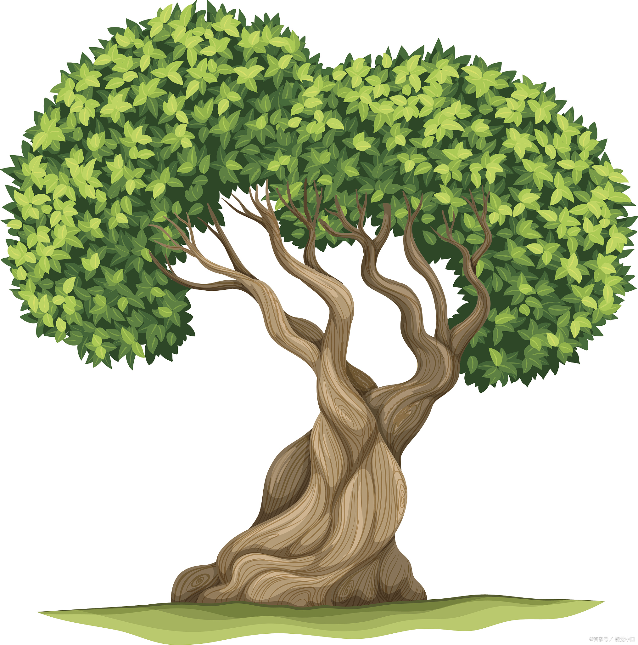 1,第一,一眼看上去就很优秀的女人,往往身姿