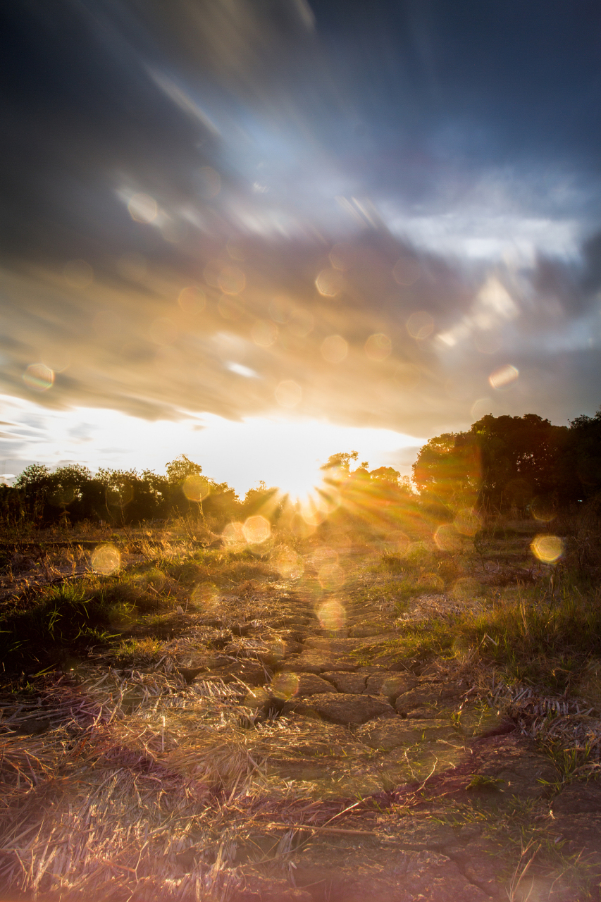 今日早安问候#  生活不止苟且 晨曦的微光,如一把锋利的剑, 刺破了