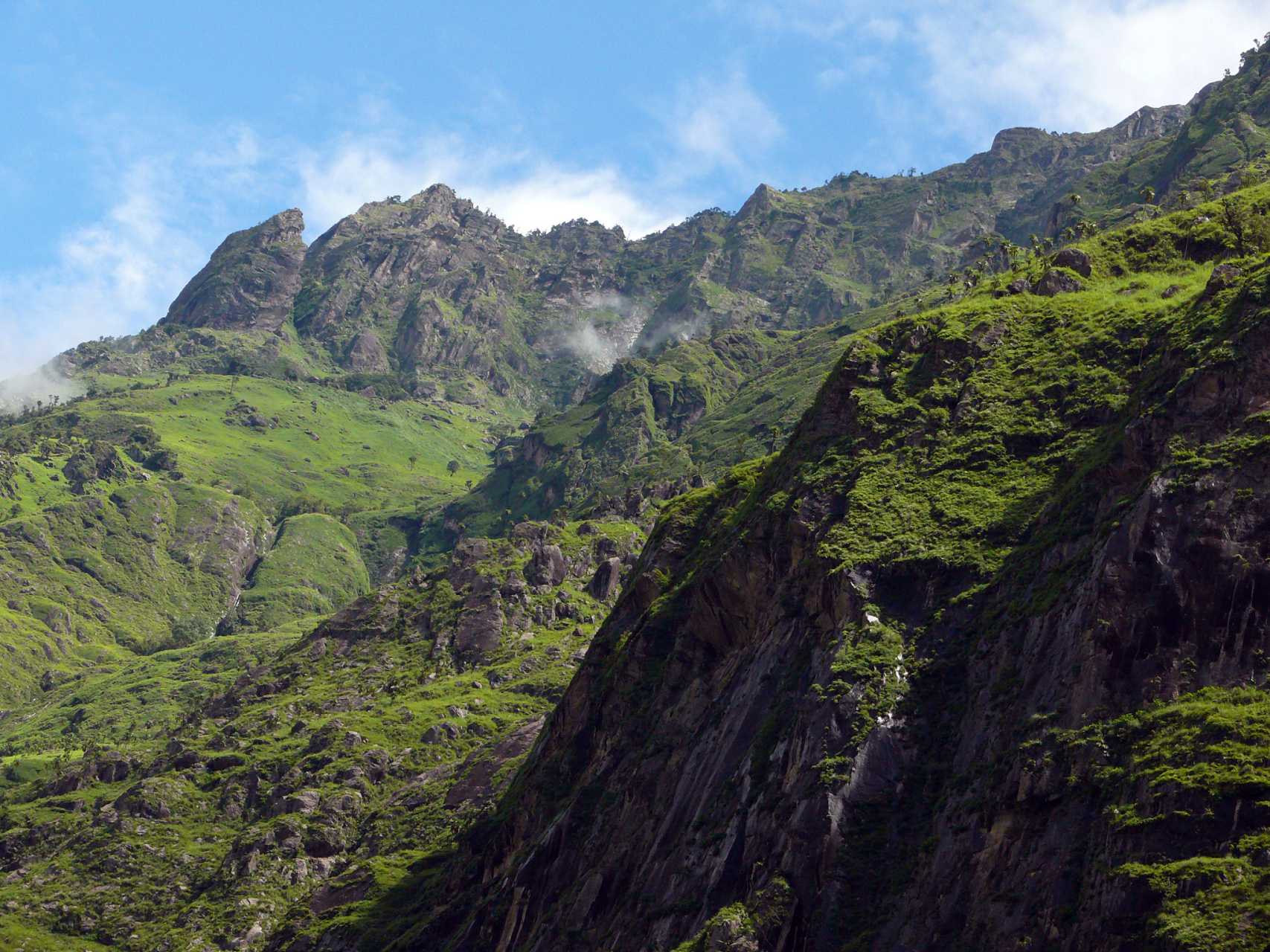 清凉峰自然保护区位于浙江省杭州市临安区,占地10800公顷,是大自然鬼