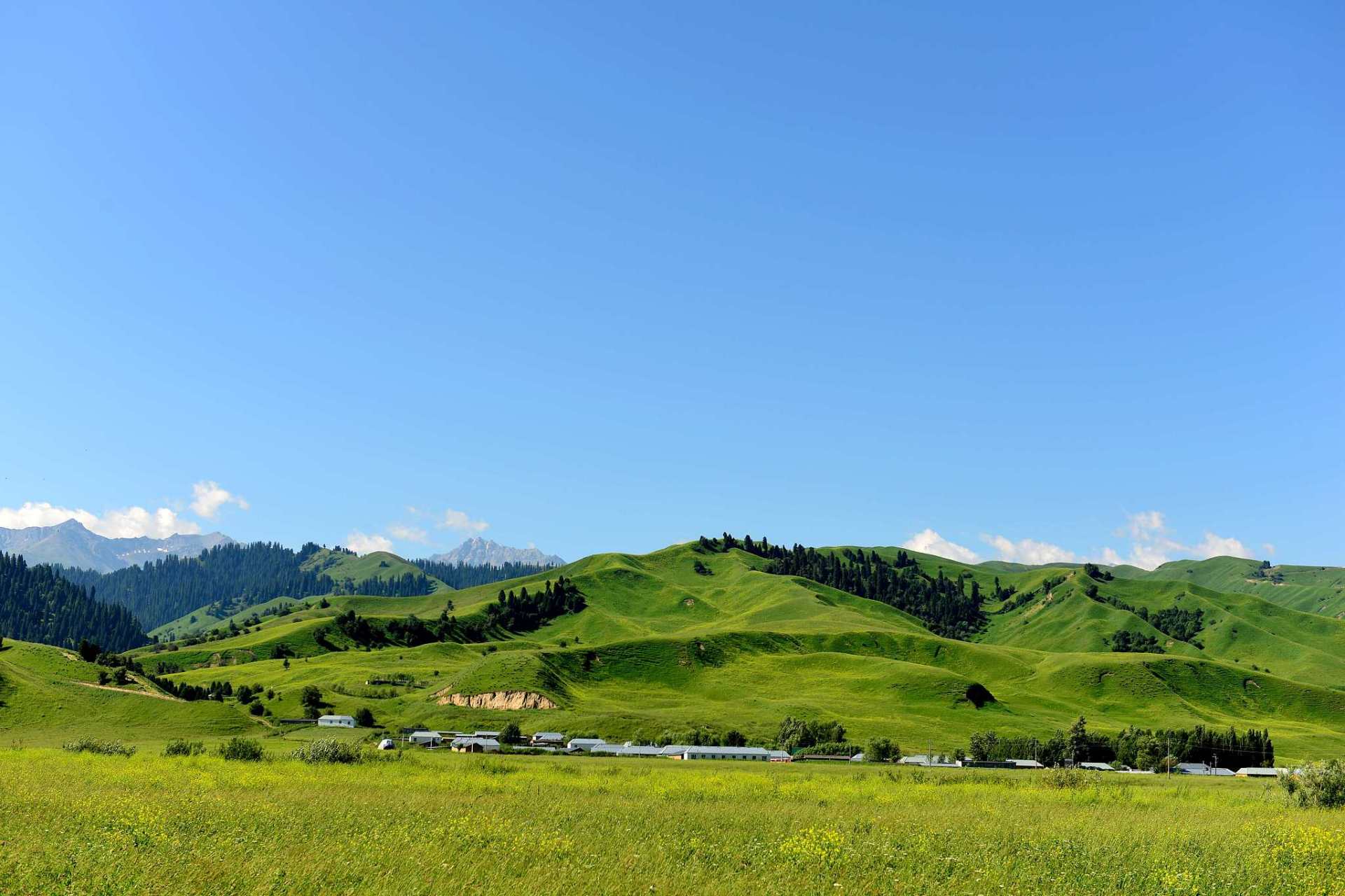 奇遇那拉提#塔吾萨尼是位于新疆那拉提地区的一个风景秀丽的小镇,它